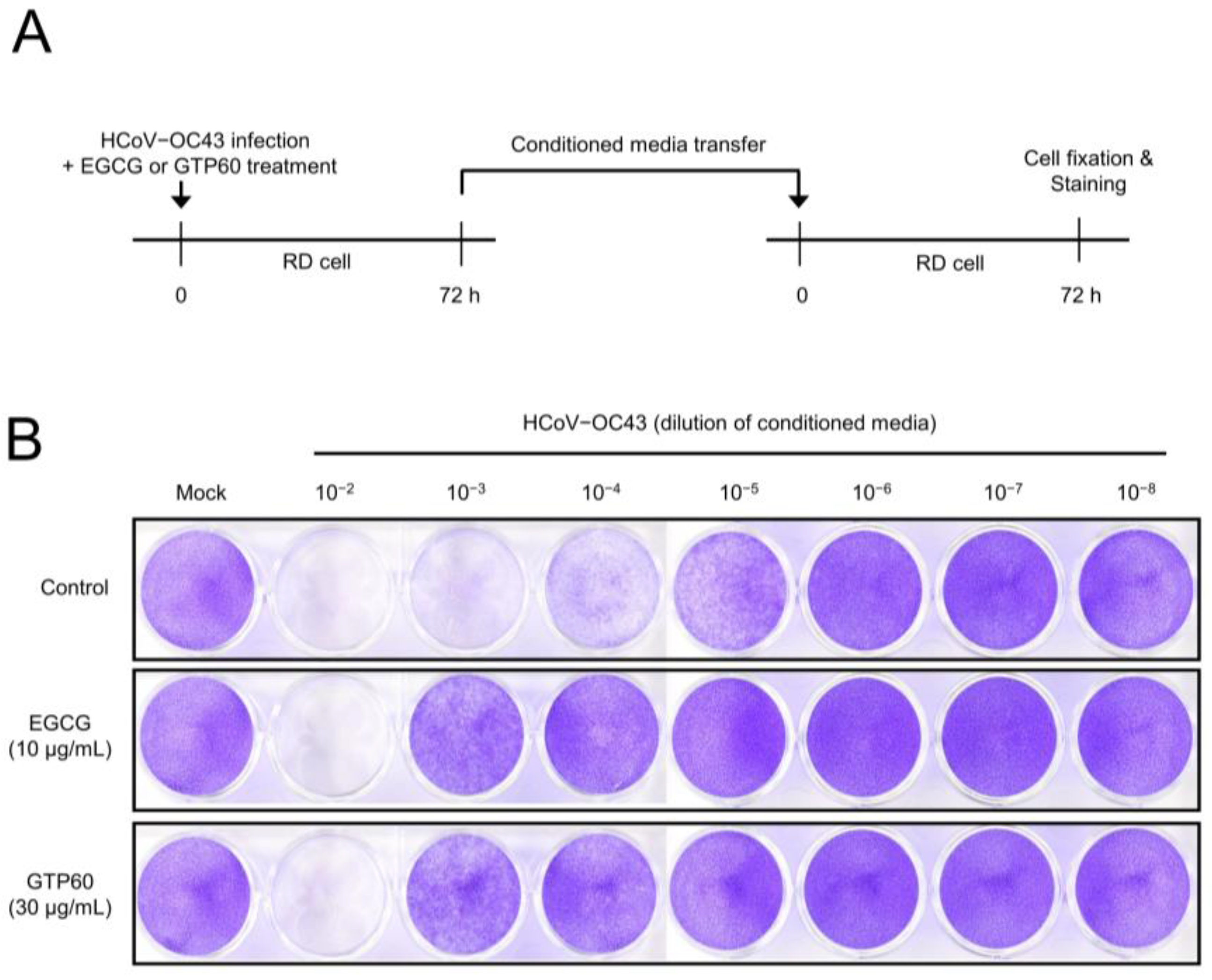 Viruses 13 02533 g004