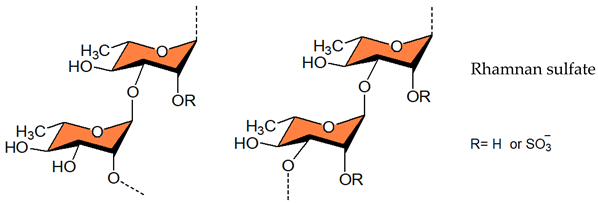 Viruses 14 00035 i004