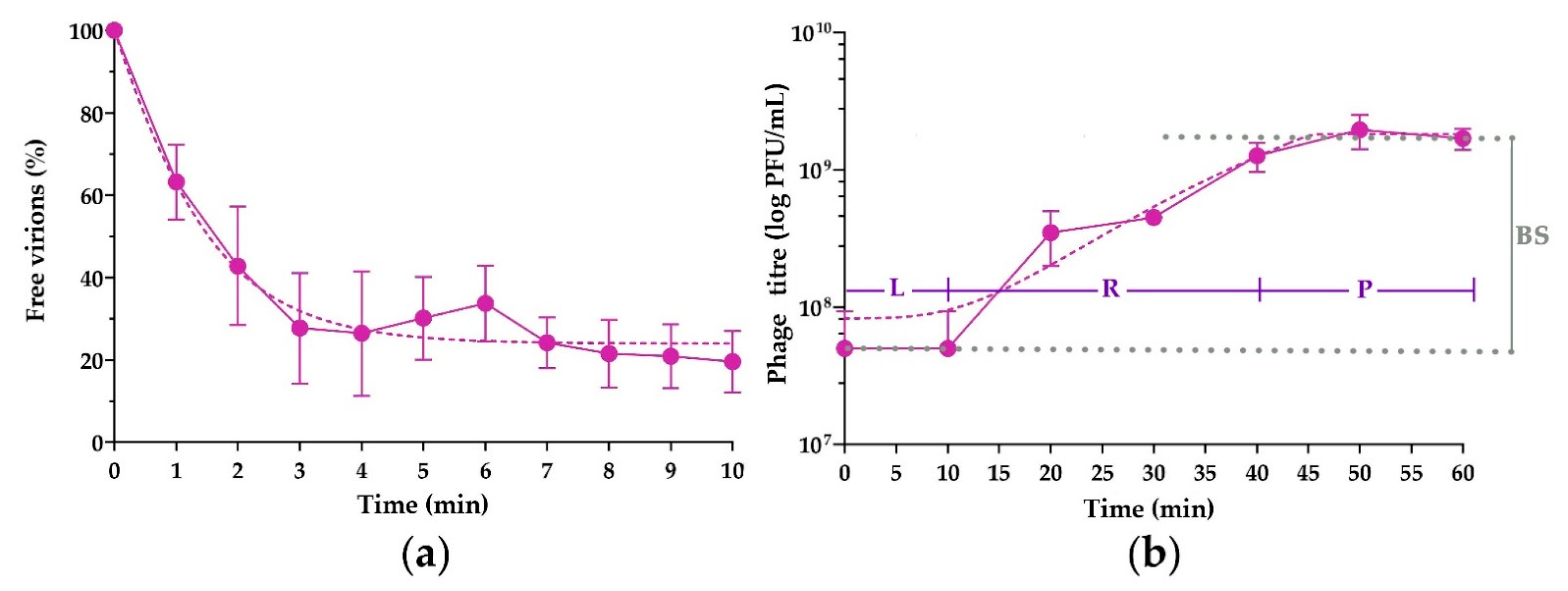Viruses 14 00042 g005 Viruses 14 00042 g005