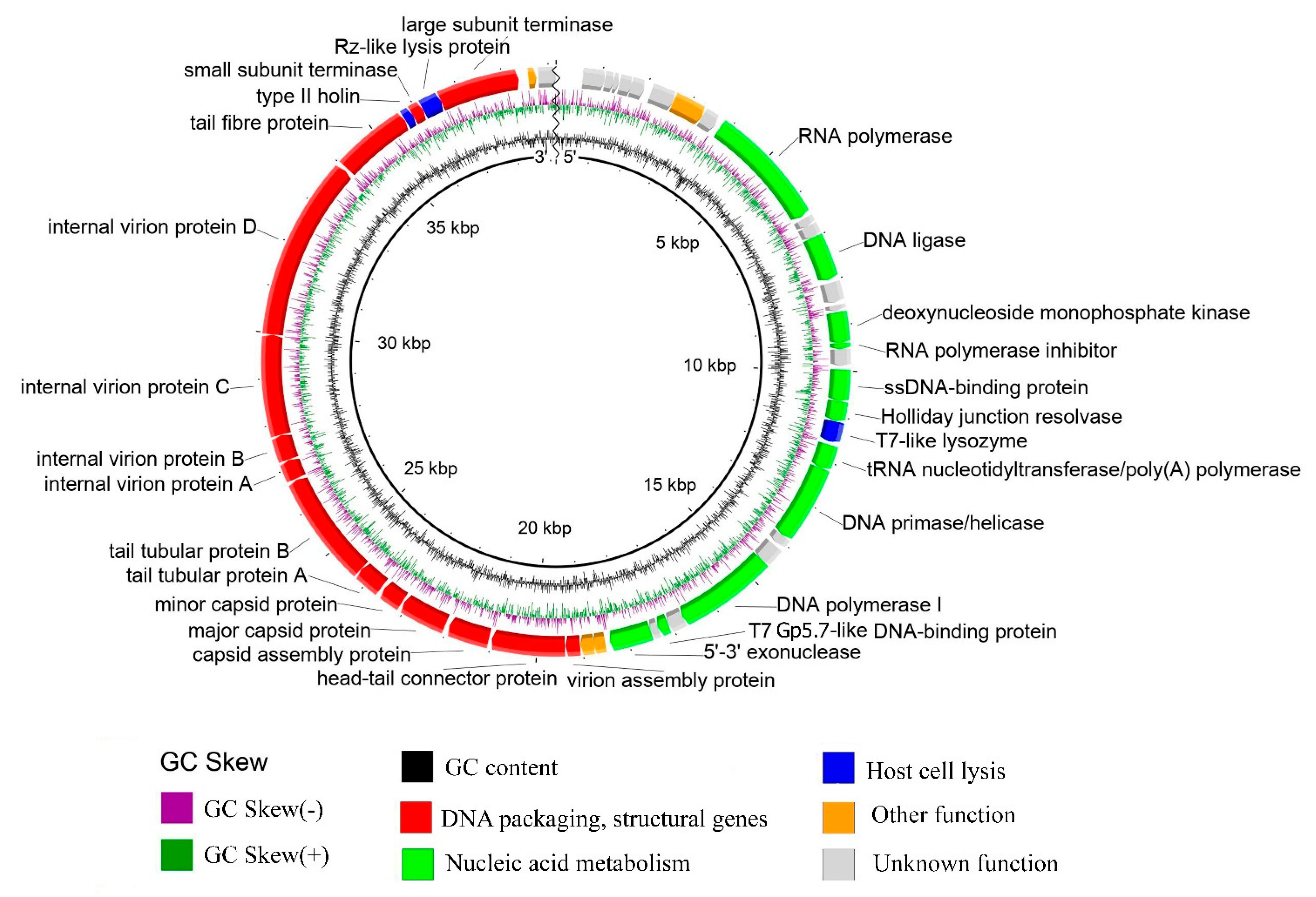 Viruses 14 00042 g006 Viruses 14 00042 g006