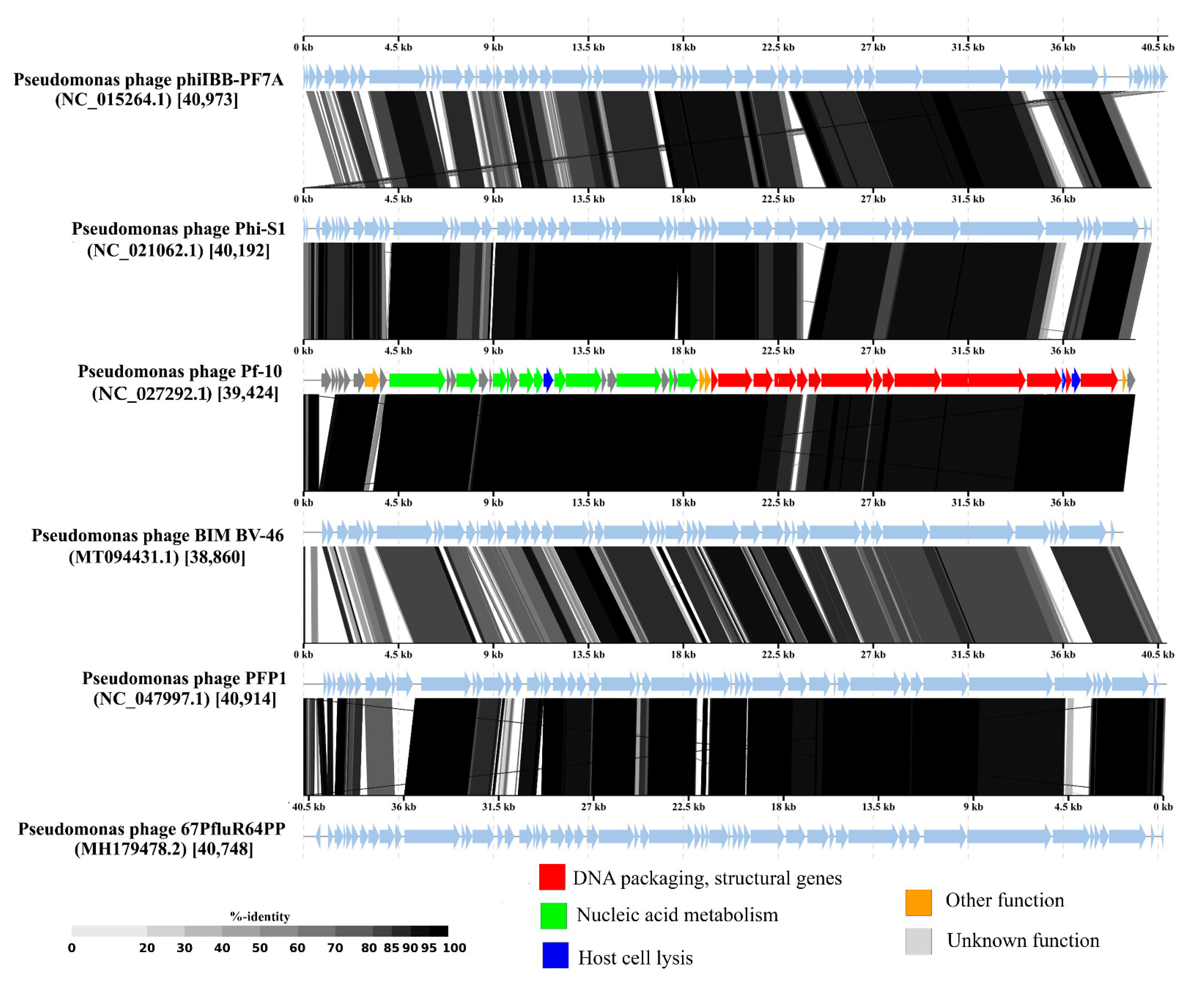 Viruses 14 00042 g010 Viruses 14 00042 g010