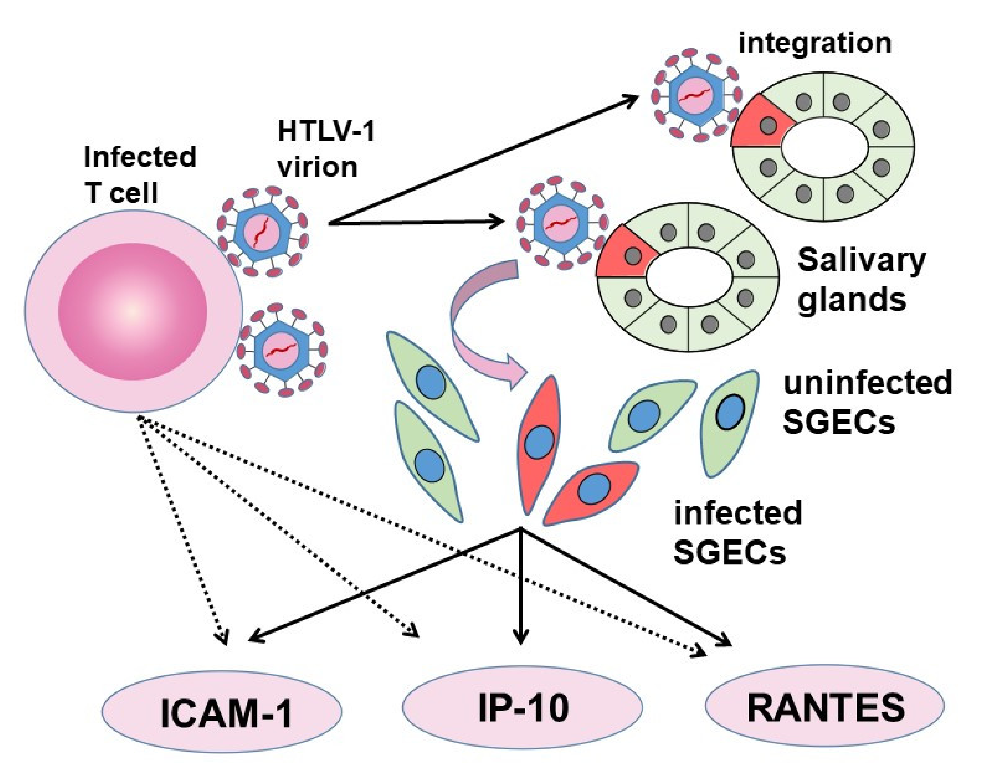 Viruses 14 00100 g003 Viruses 14 00100 g003