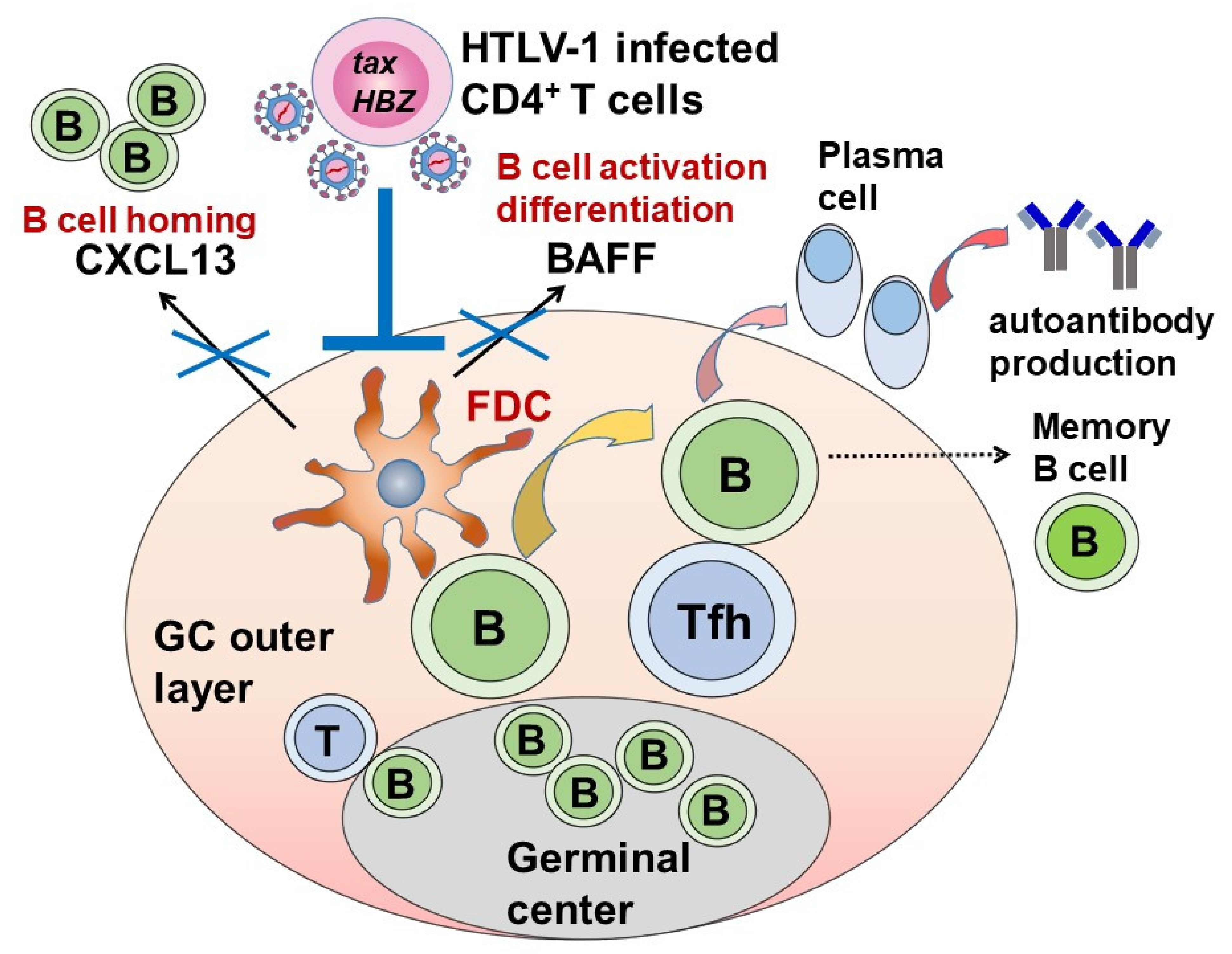 Viruses 14 00100 g004 Viruses 14 00100 g004