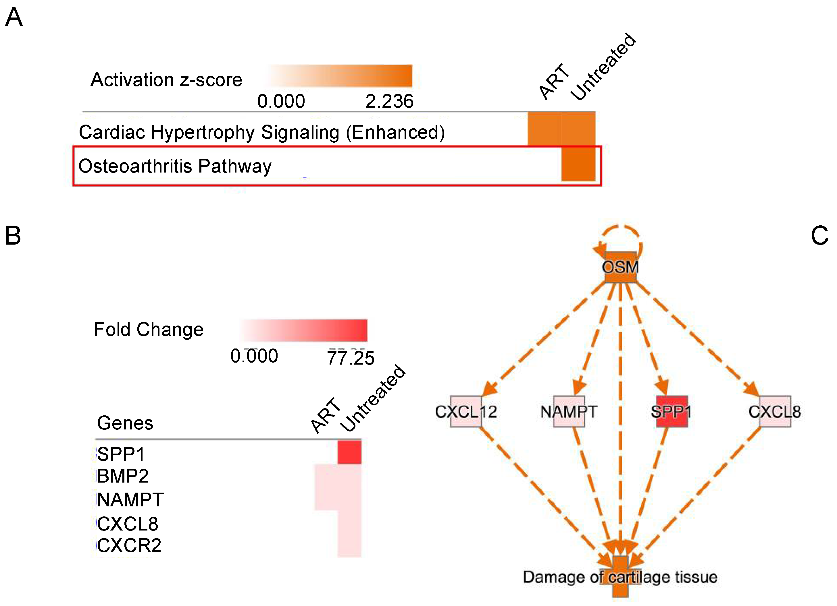 Viruses 14 00139 g008