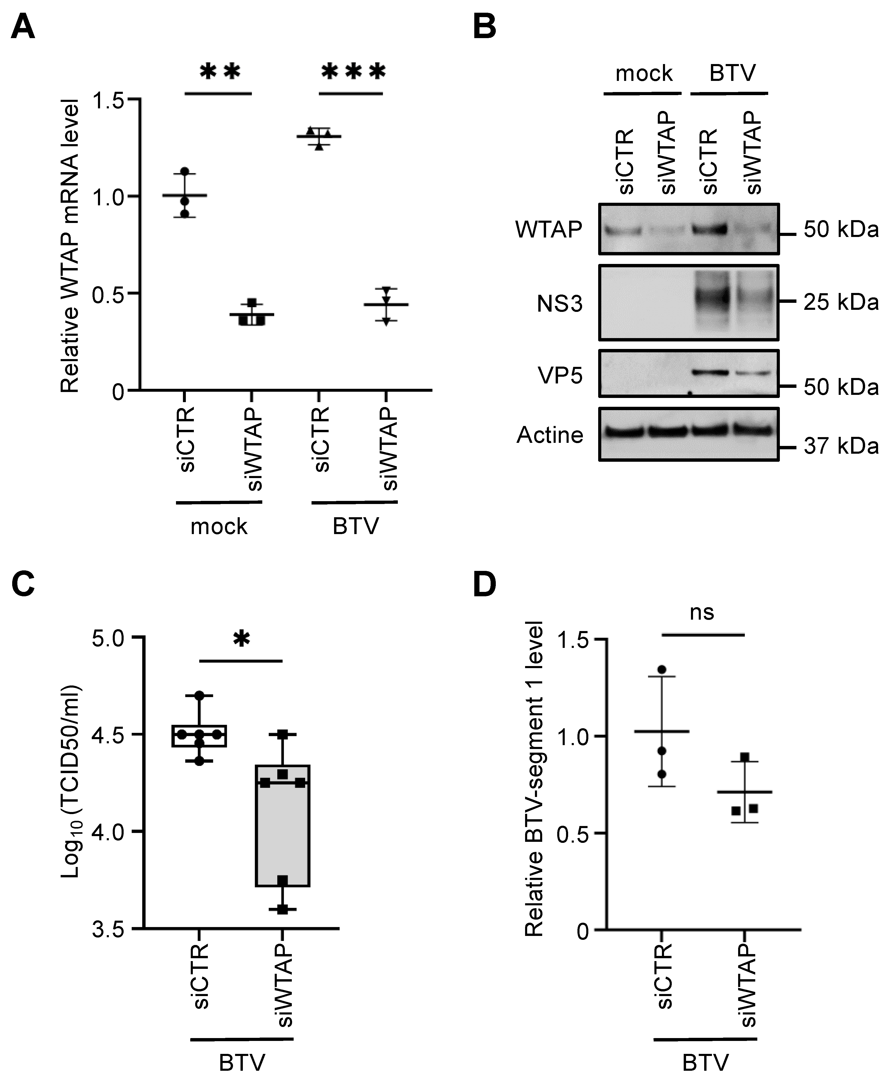 Viruses 14 00182 g006