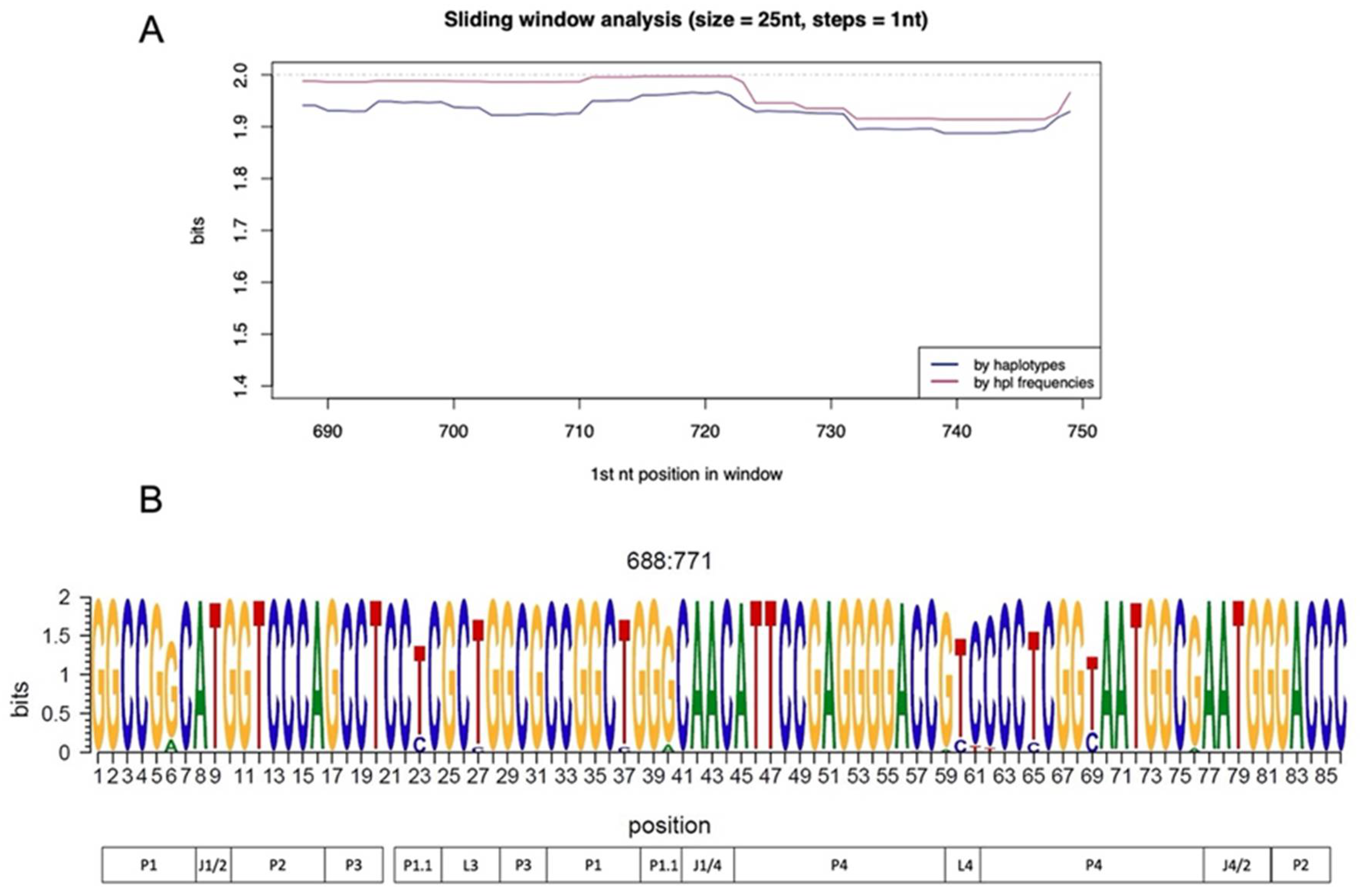 Viruses | Free Full-Text | Inspecting the Ribozyme Region of Hepatitis  Delta Virus Genotype 1: Conservation and Variability