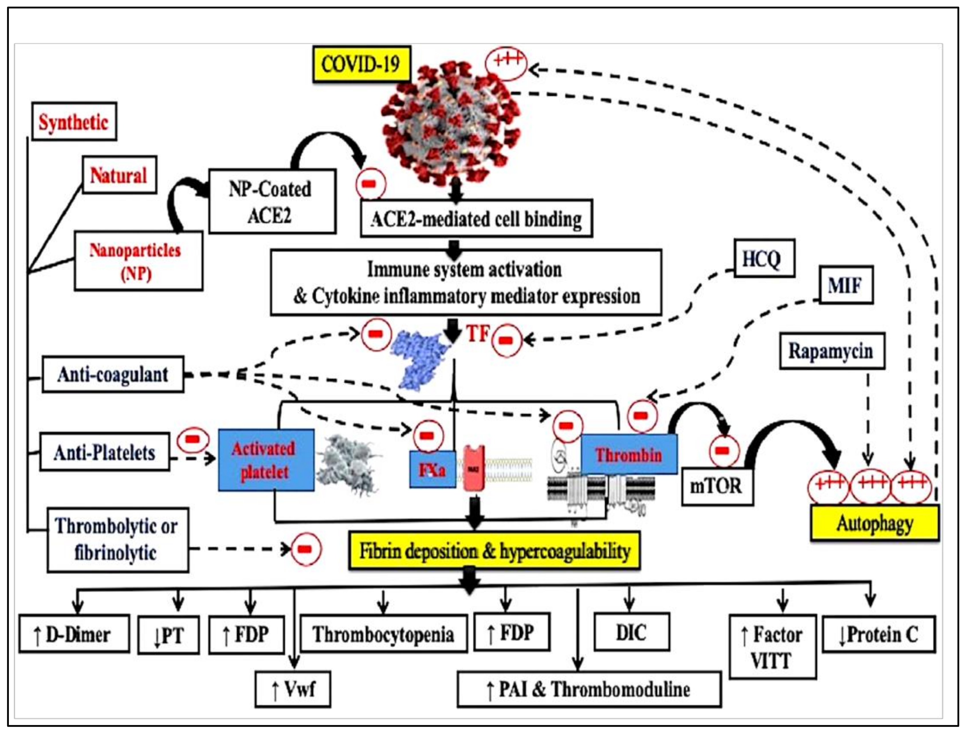 Viruses 14 00228 g001
