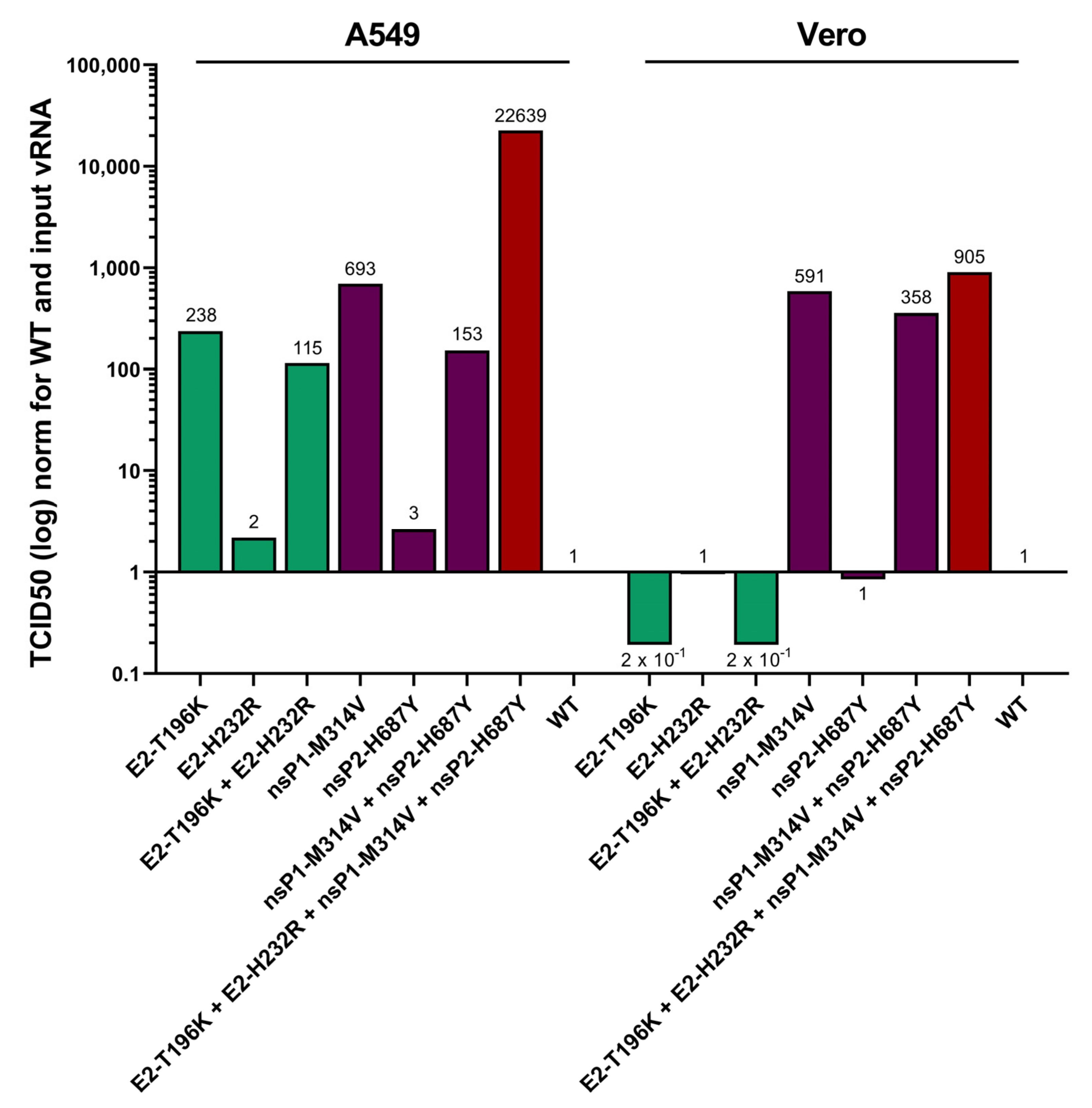 Viruses 14 00282 g003