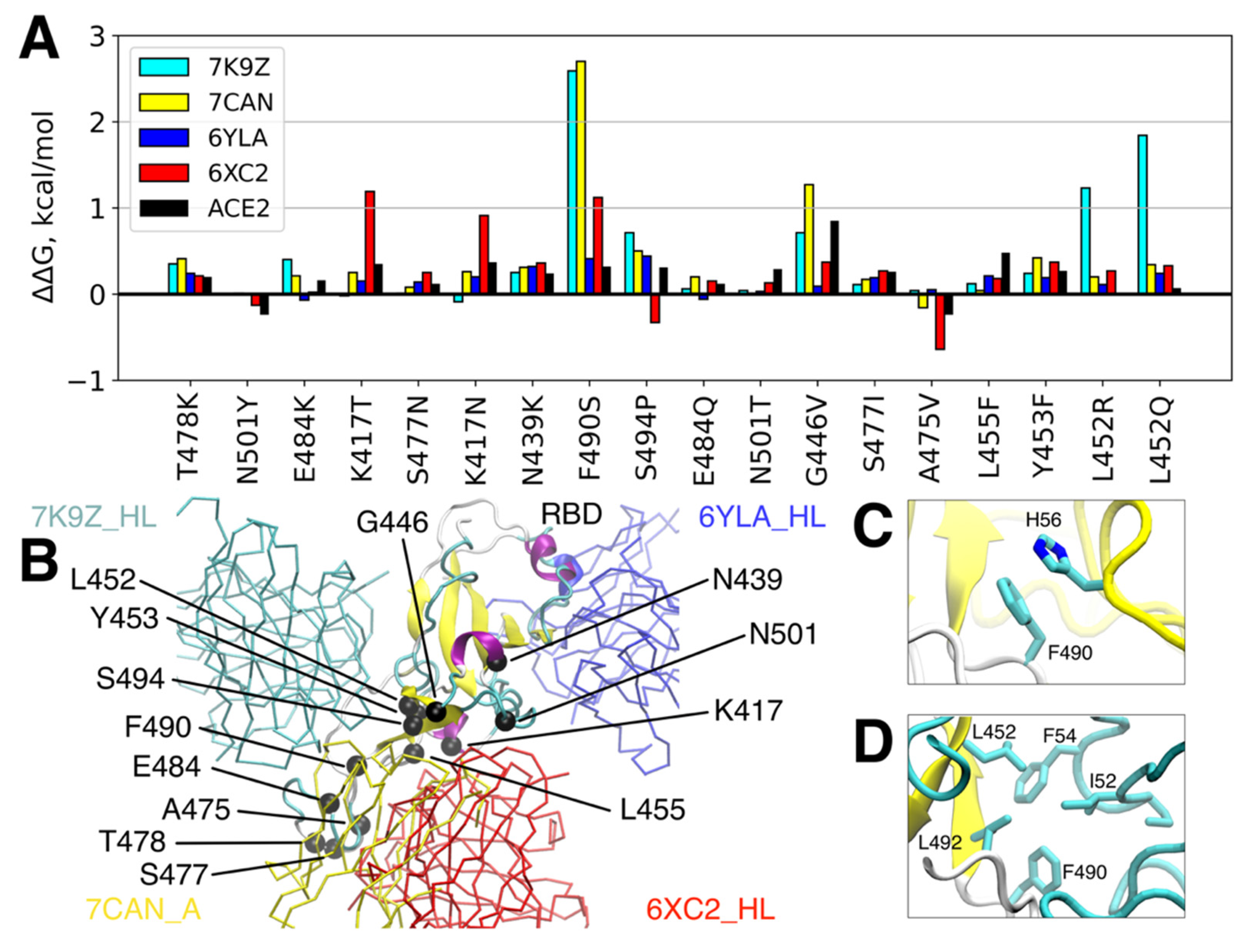 Viruses 14 00295 g003