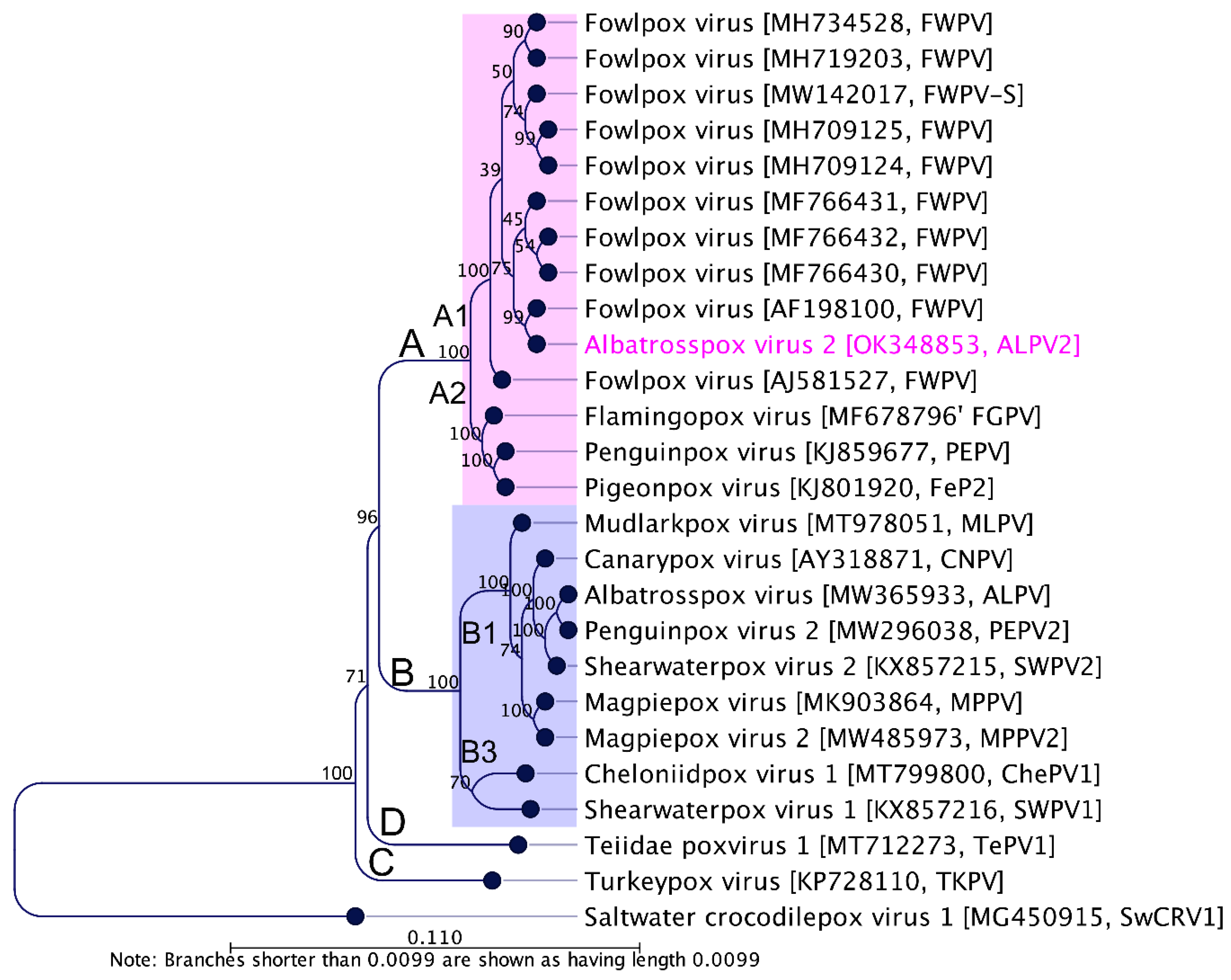 Viruses 14 00302 g003