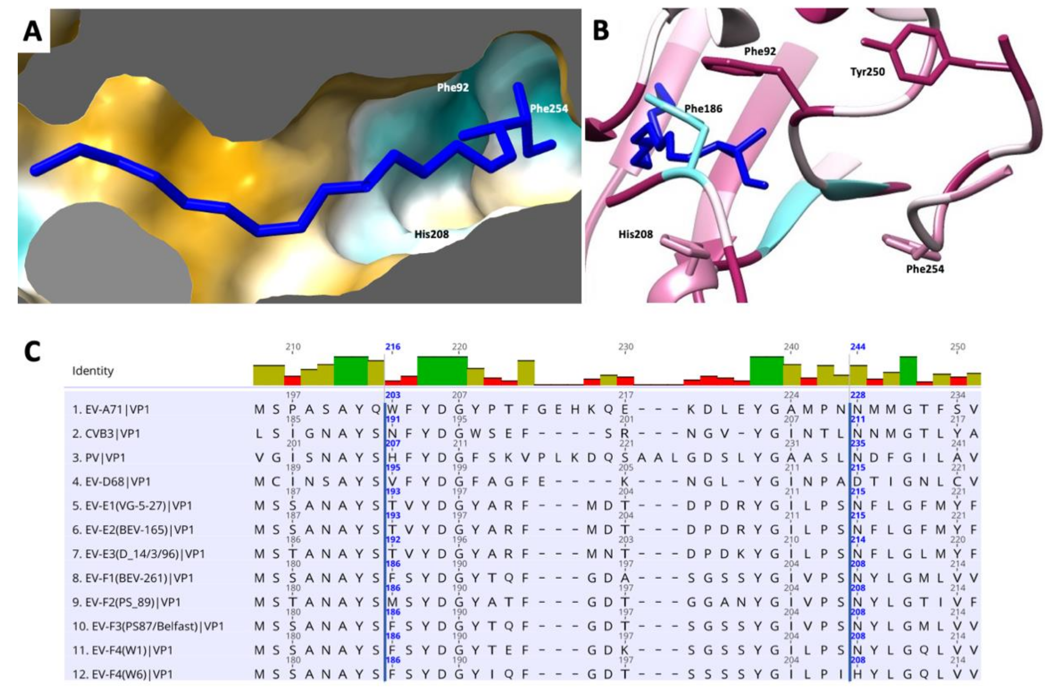 Viruses 14 00318 g005
