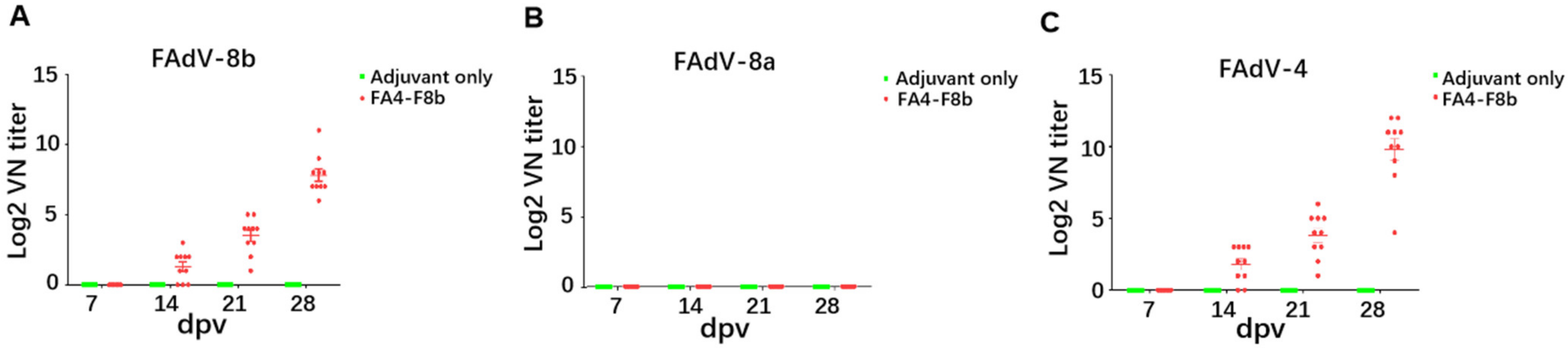 Viruses 14 00376 g003