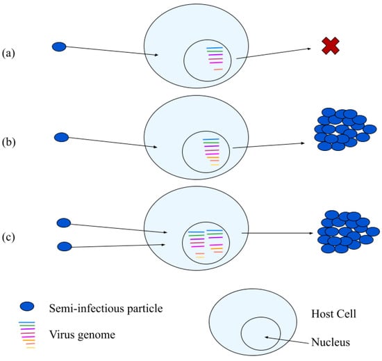 Darwinian bacteria survival game Agar.io has bagged 2B views on