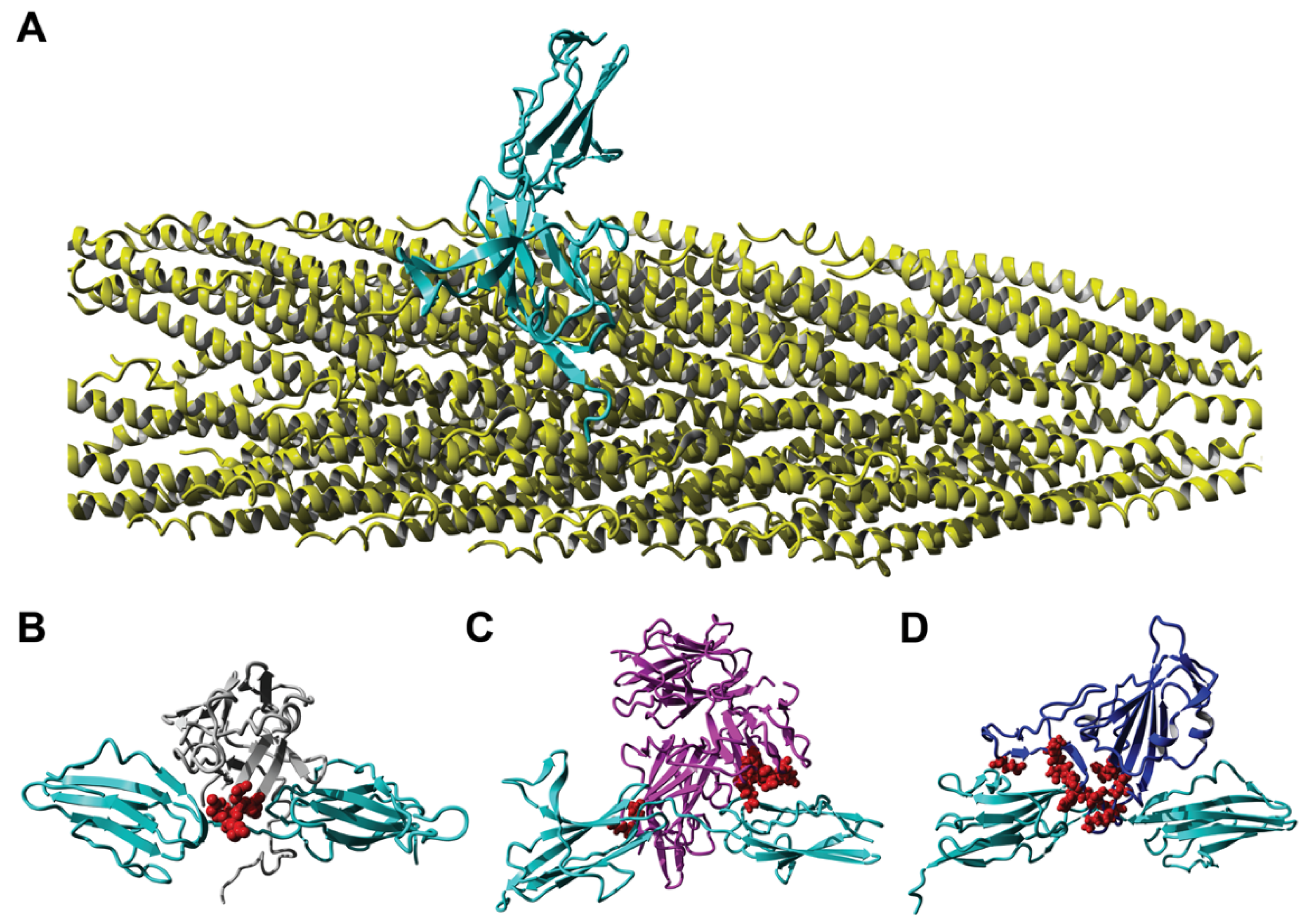 Viruses 14 00384 g008 Viruses 14 00384 g008