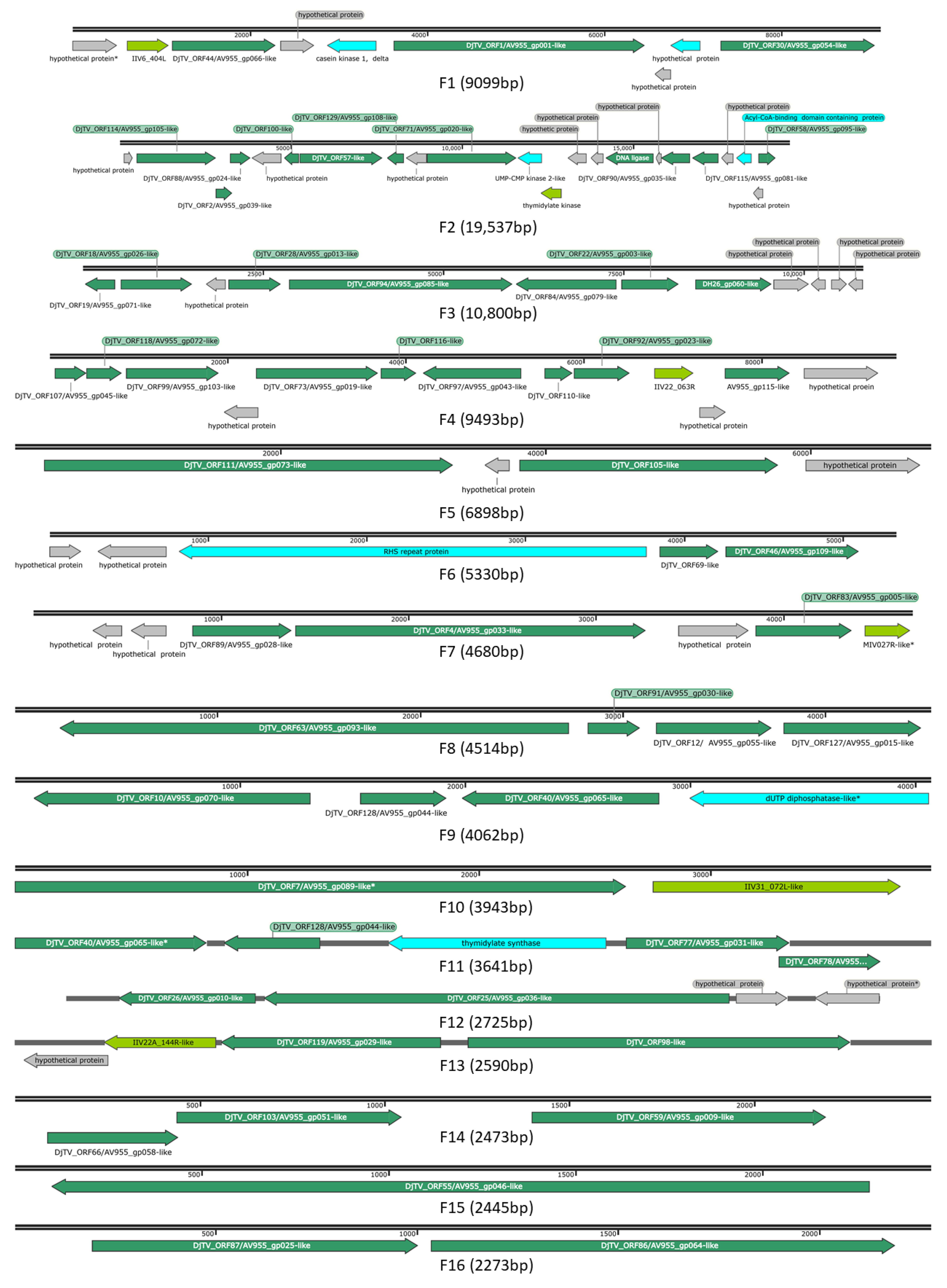 Viruses 14 00397 g001a