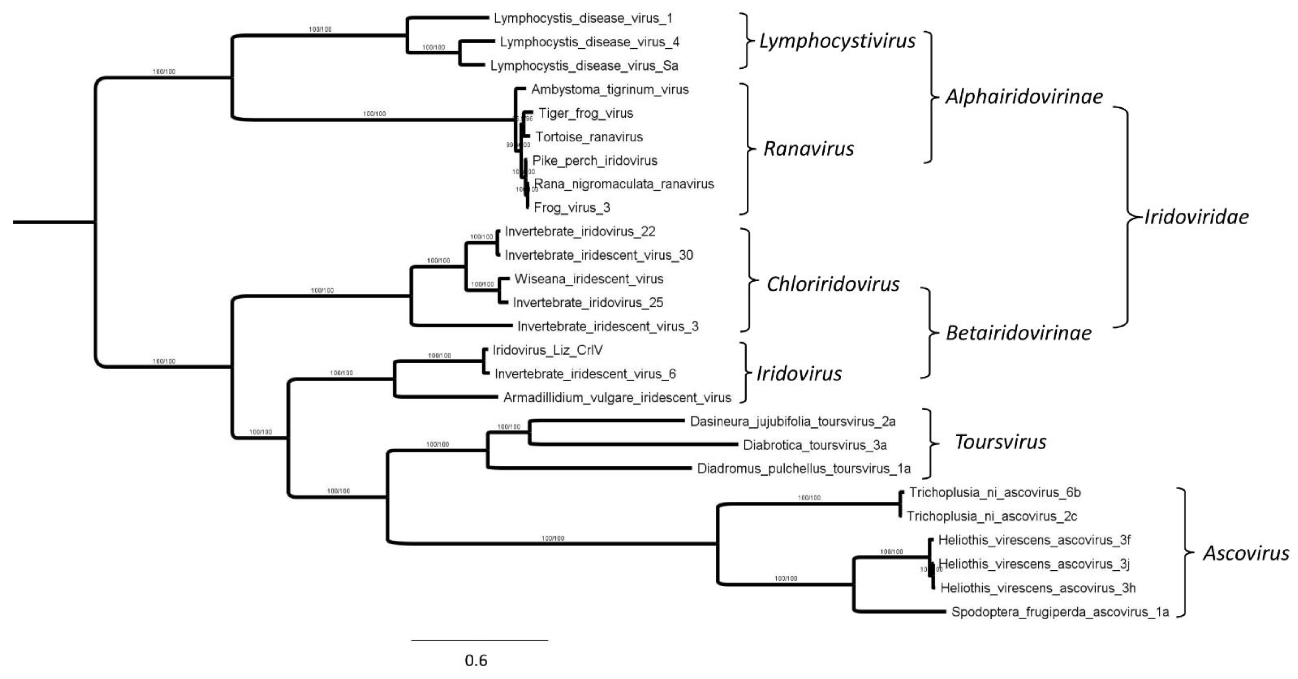Viruses 14 00397 g004