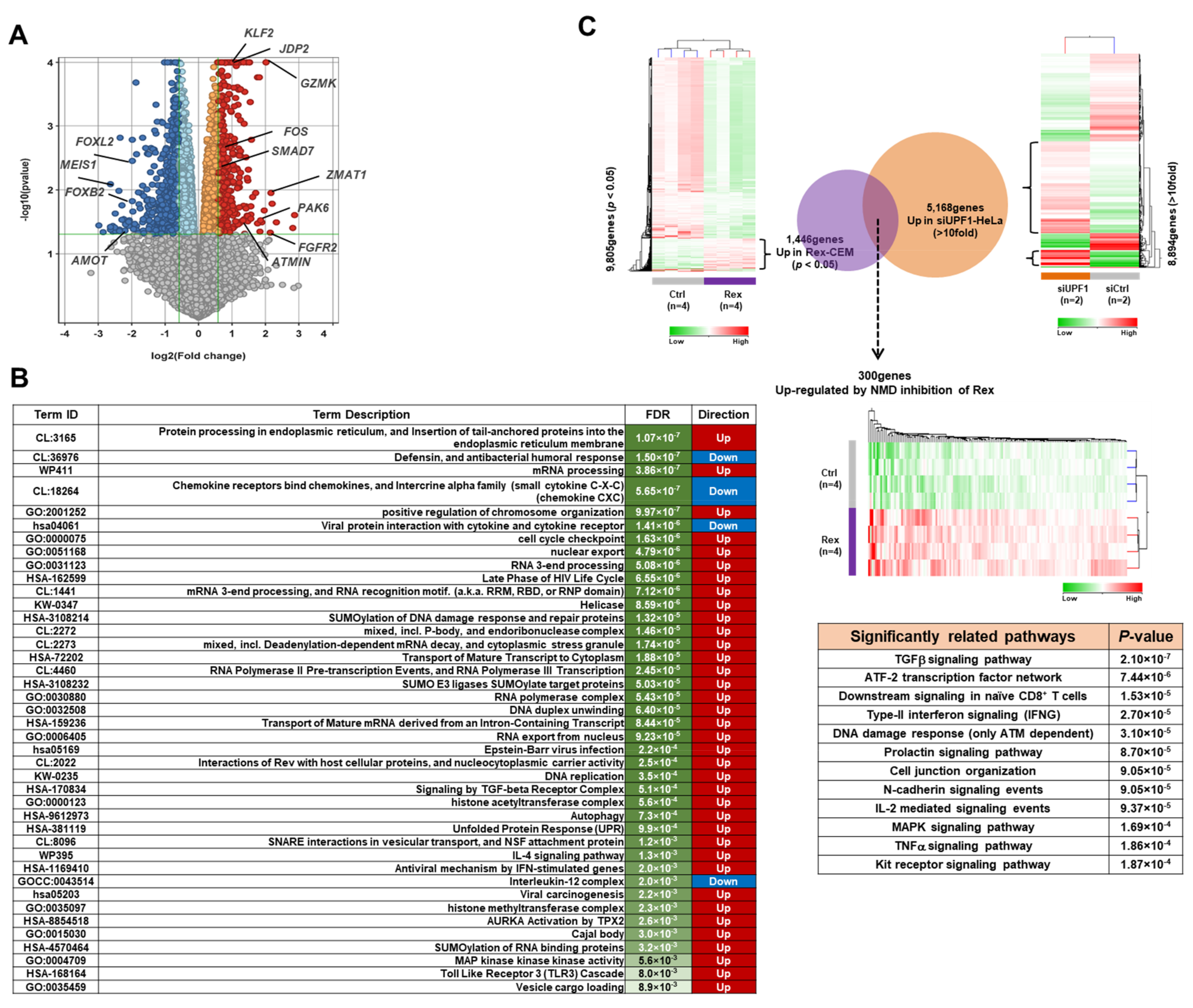 Viruses 14 00407 g001
