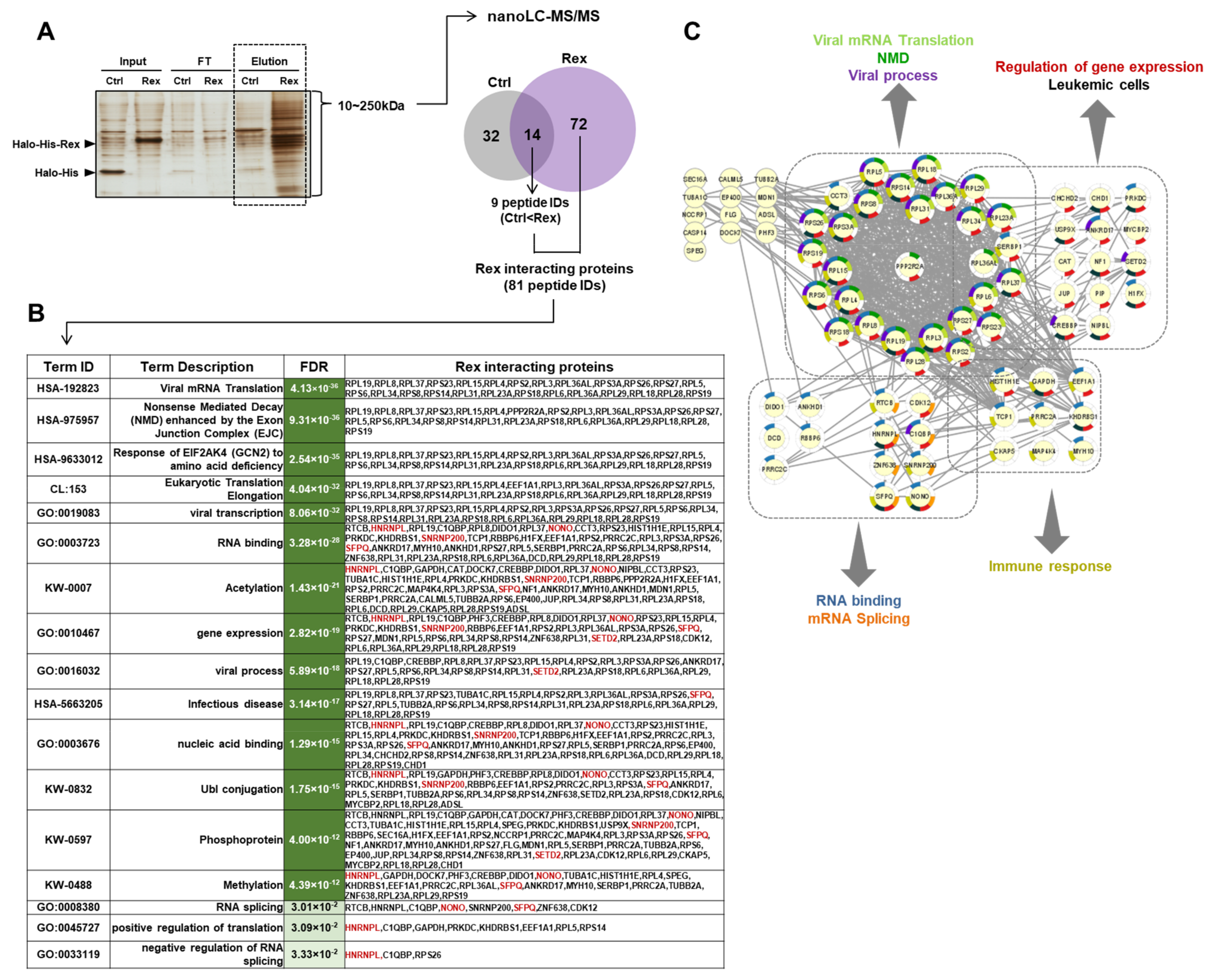 Viruses 14 00407 g004