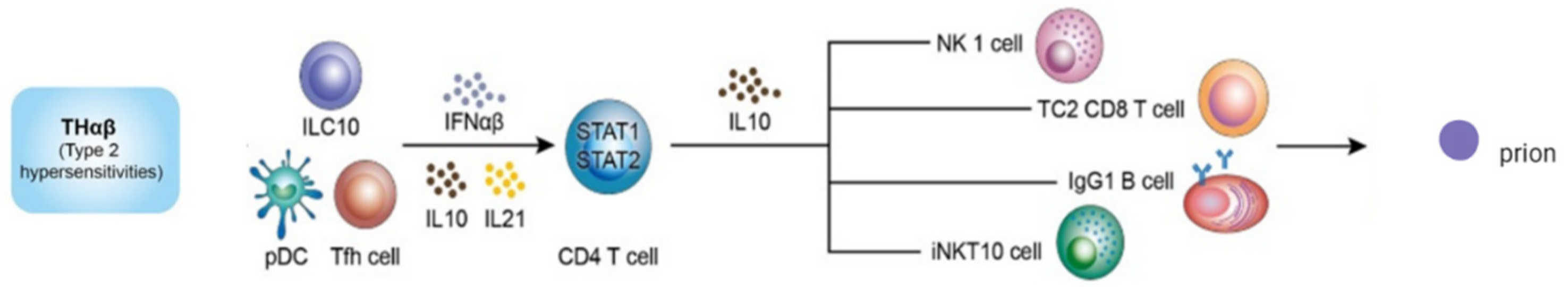 Viruses 14 00408 g002