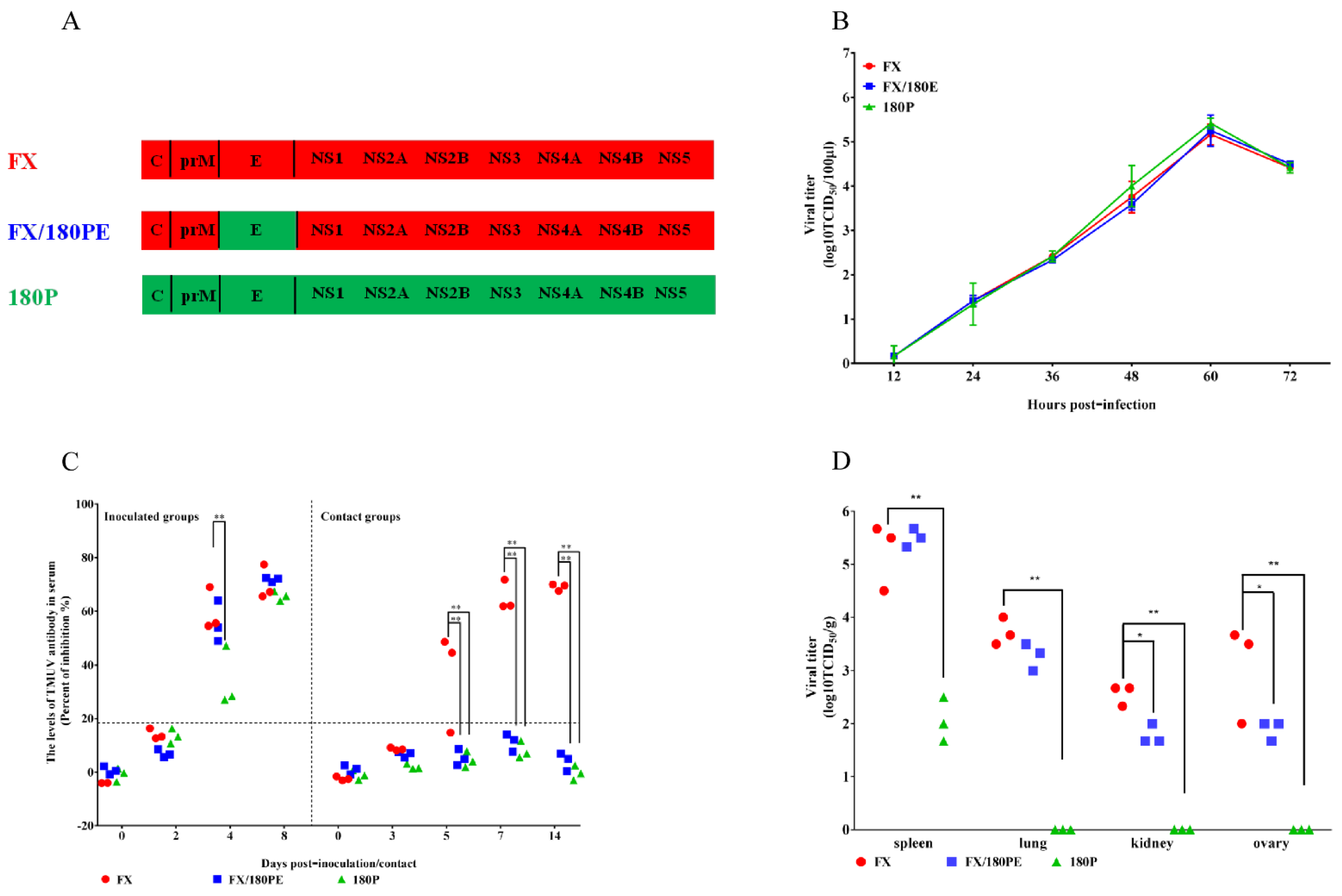 Viruses 14 00447 g001