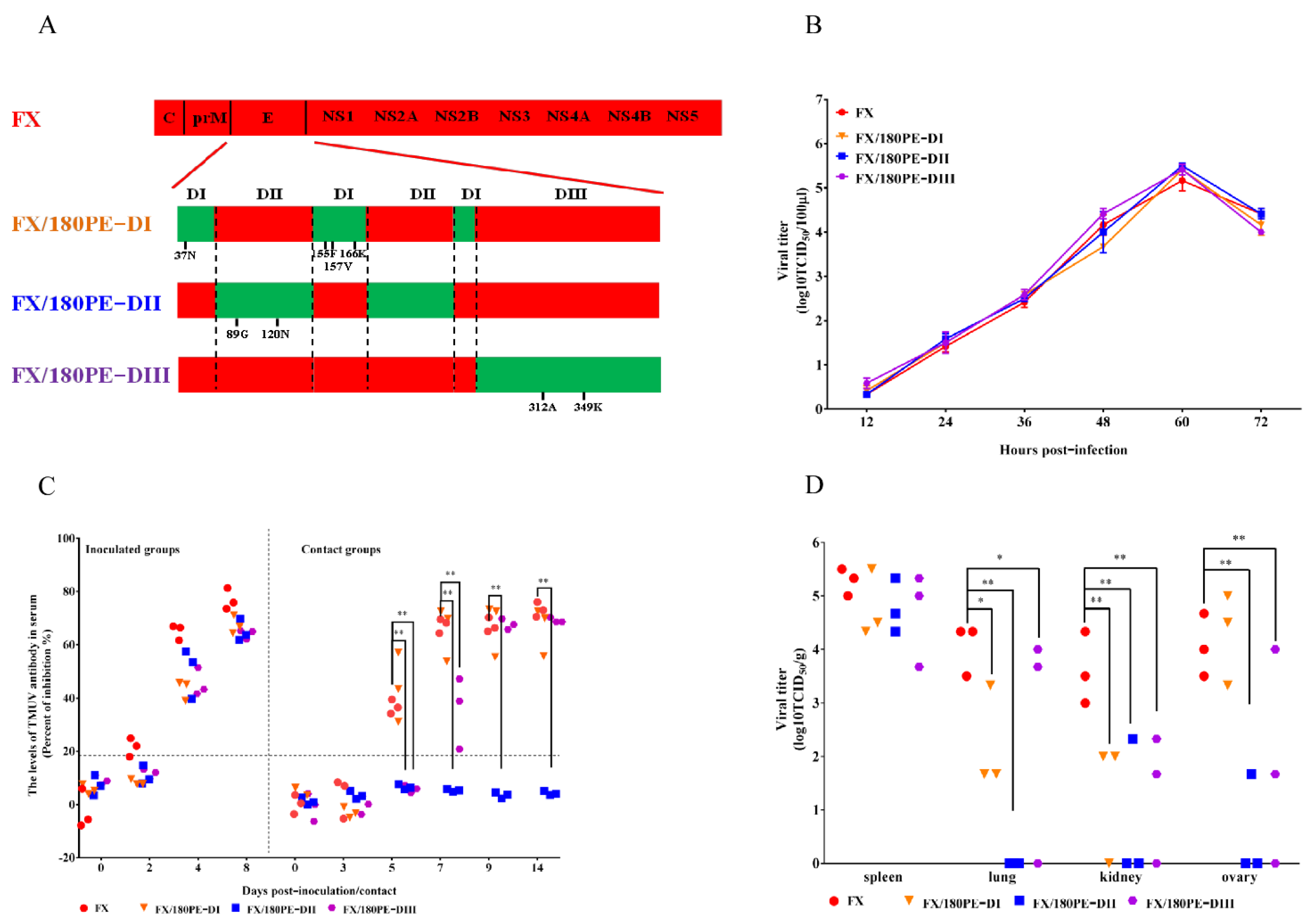 Viruses 14 00447 g002