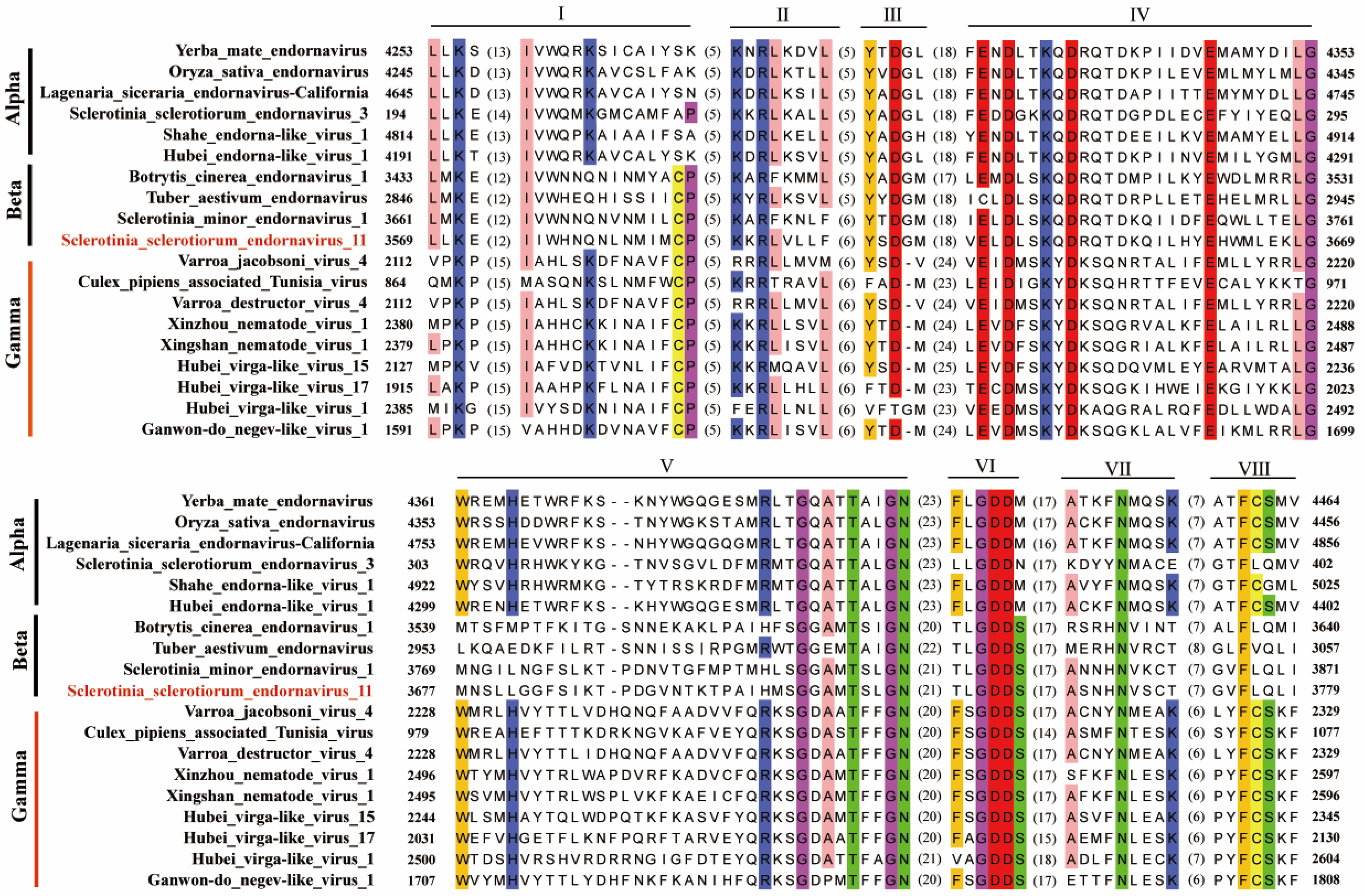 Viruses 14 00456 g003