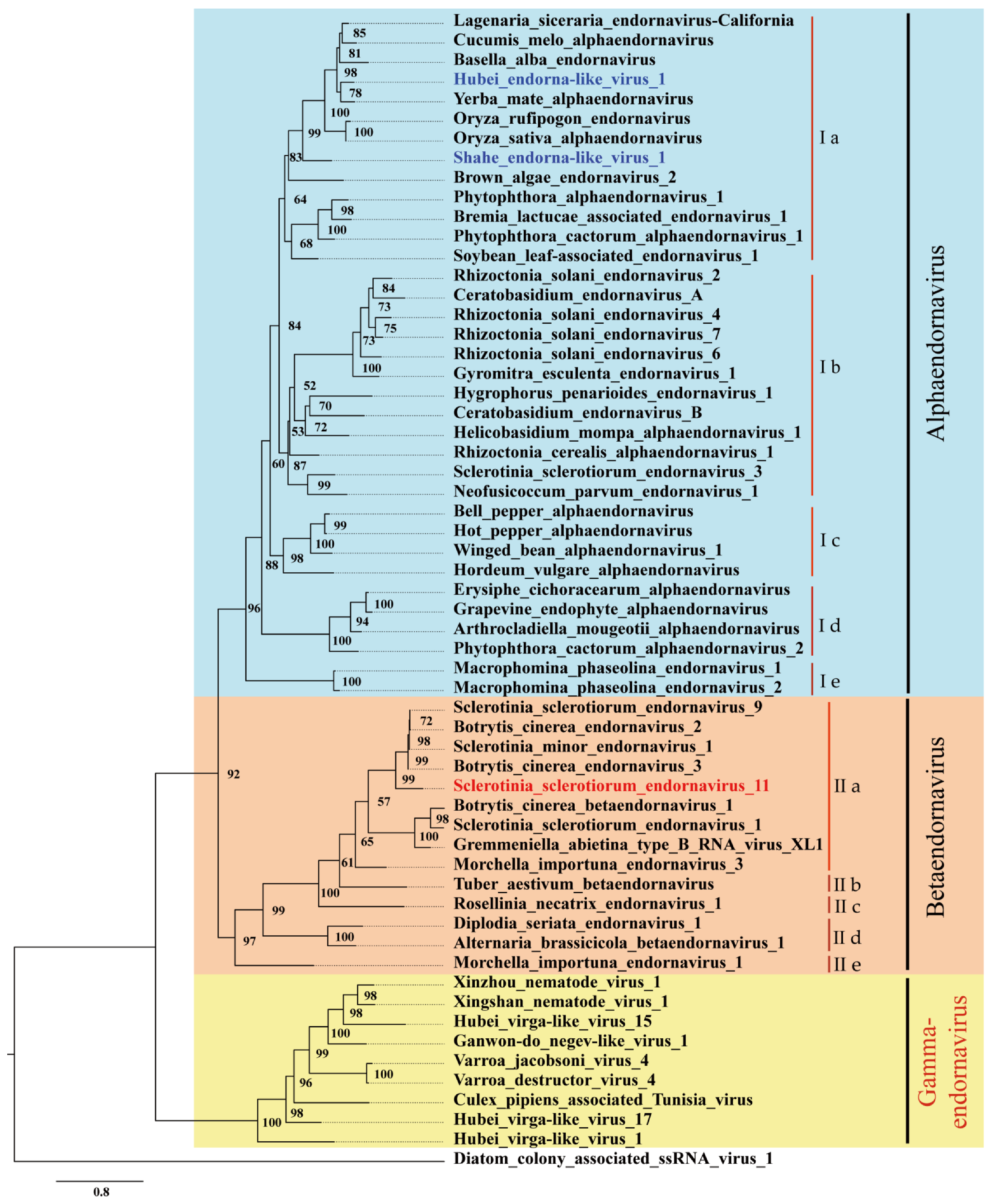 Viruses 14 00456 g004
