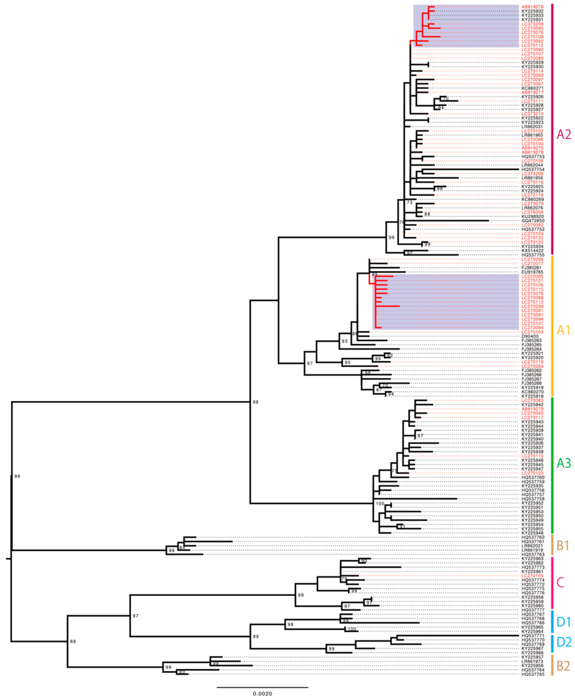 Viruses 14 00464 g003 Viruses 14 00464 g003