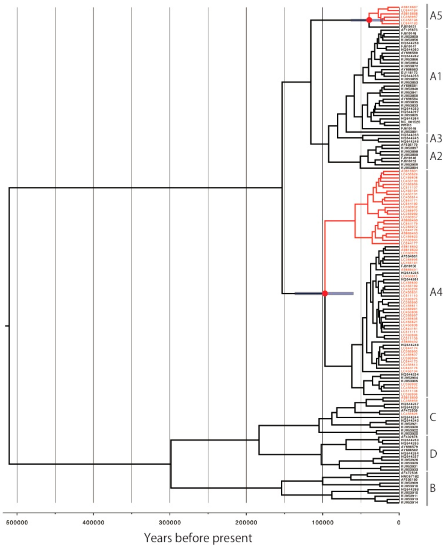 Viruses 14 00464 g004 Viruses 14 00464 g004