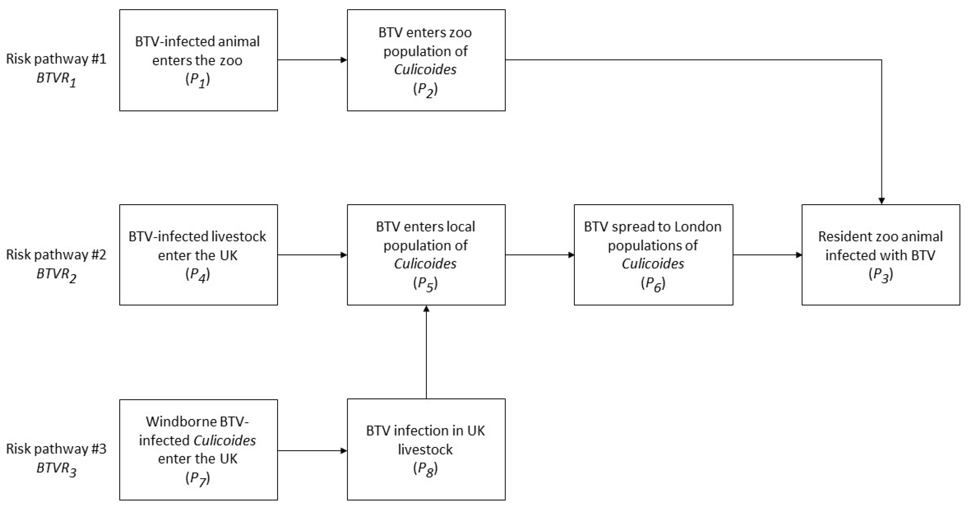 Viruses 14 00502 g001