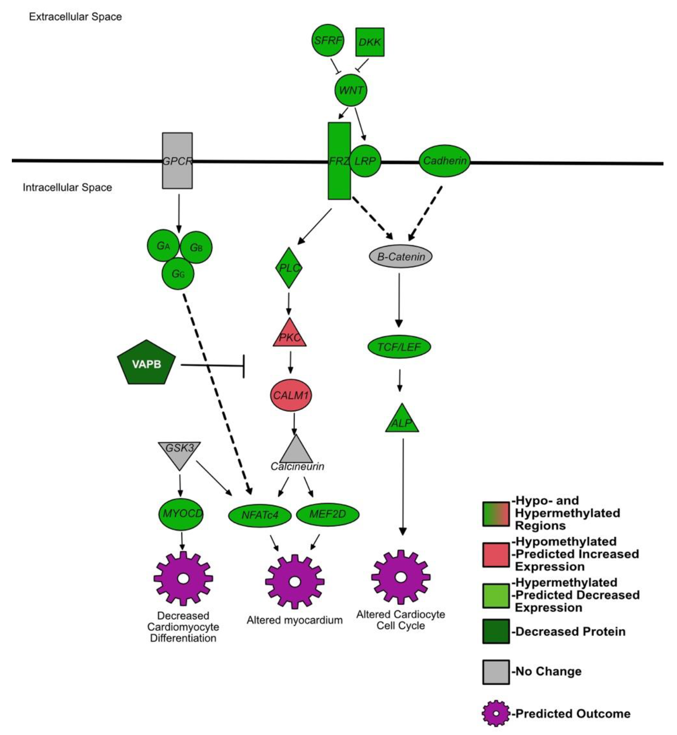 Viruses 14 00506 g003