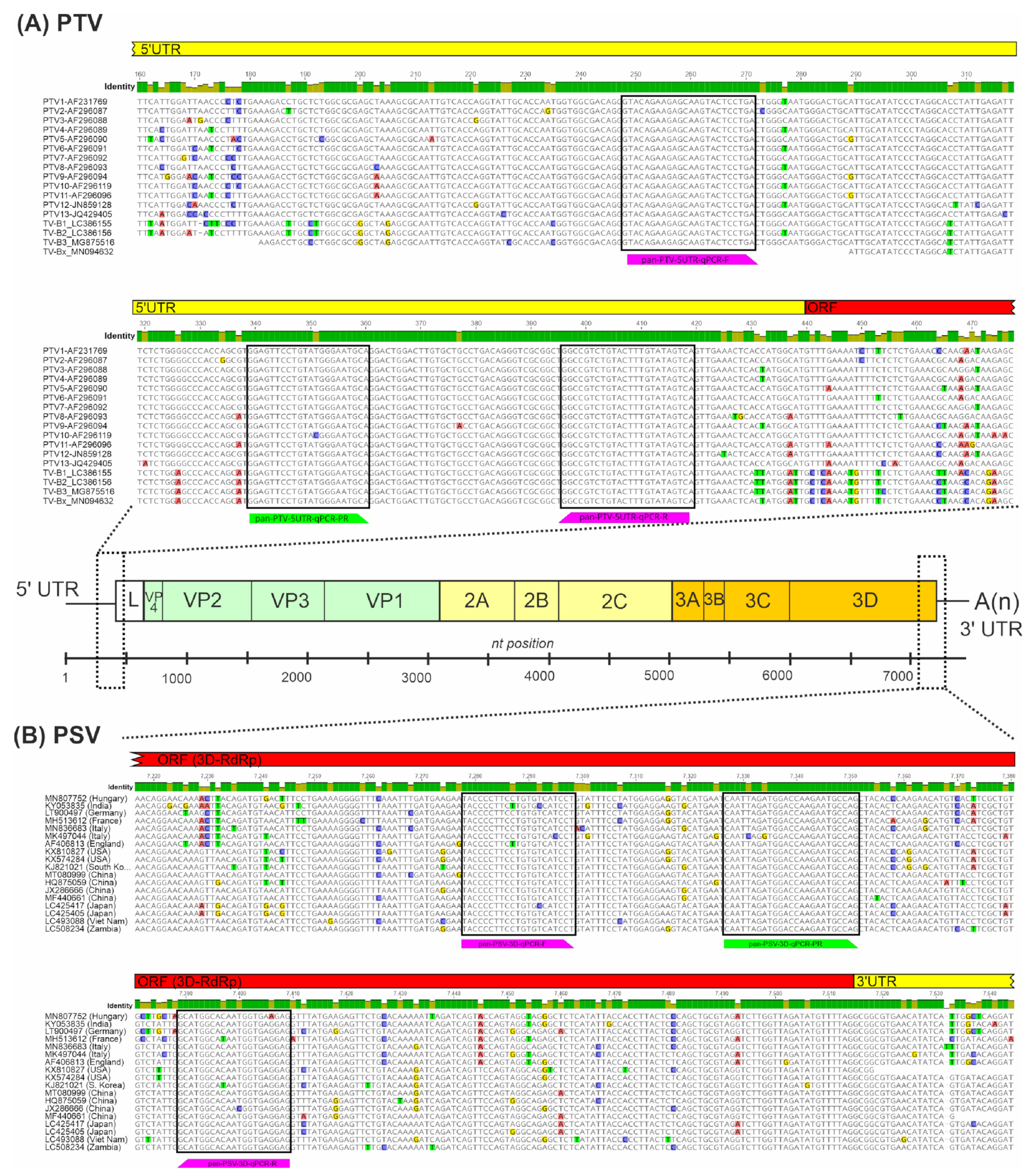 Viruses 14 00513 g002