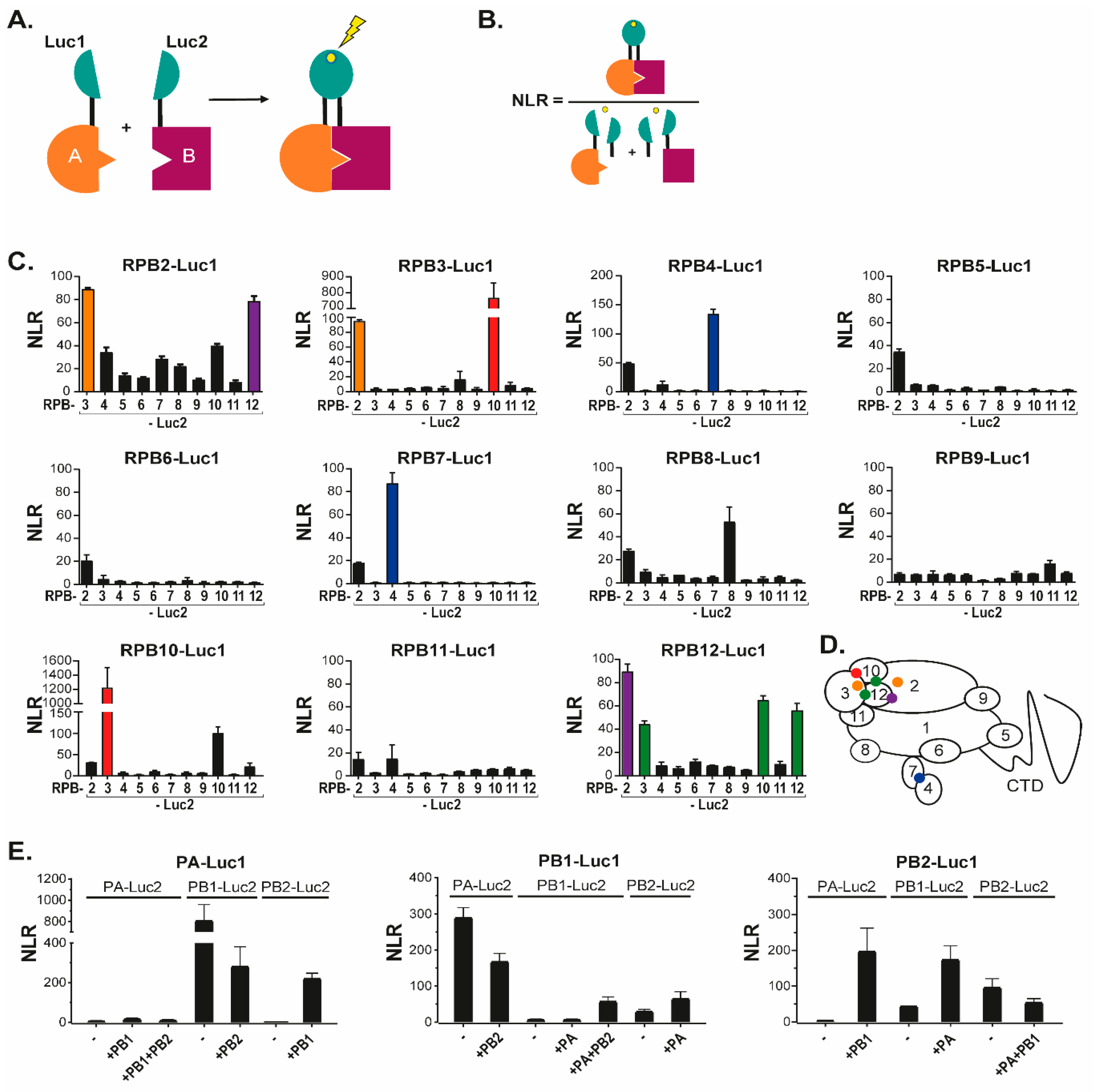 Viruses 14 00518 g001