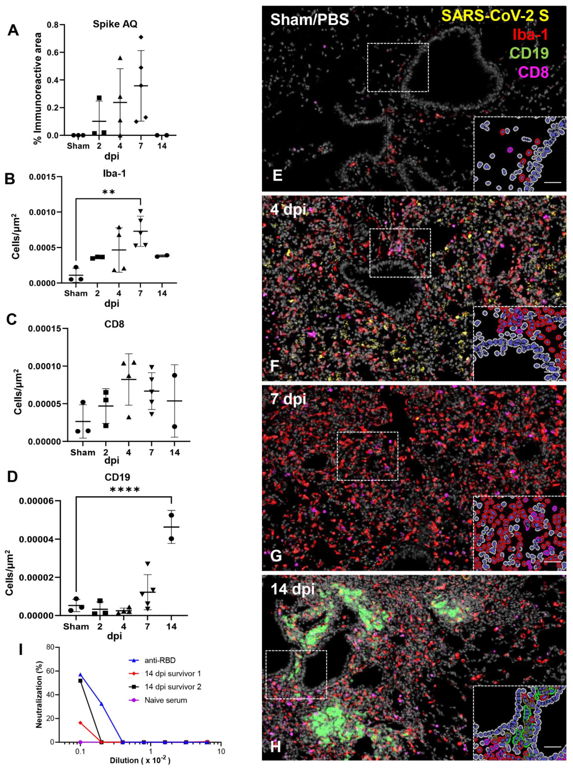 Viruses 14 00535 g005