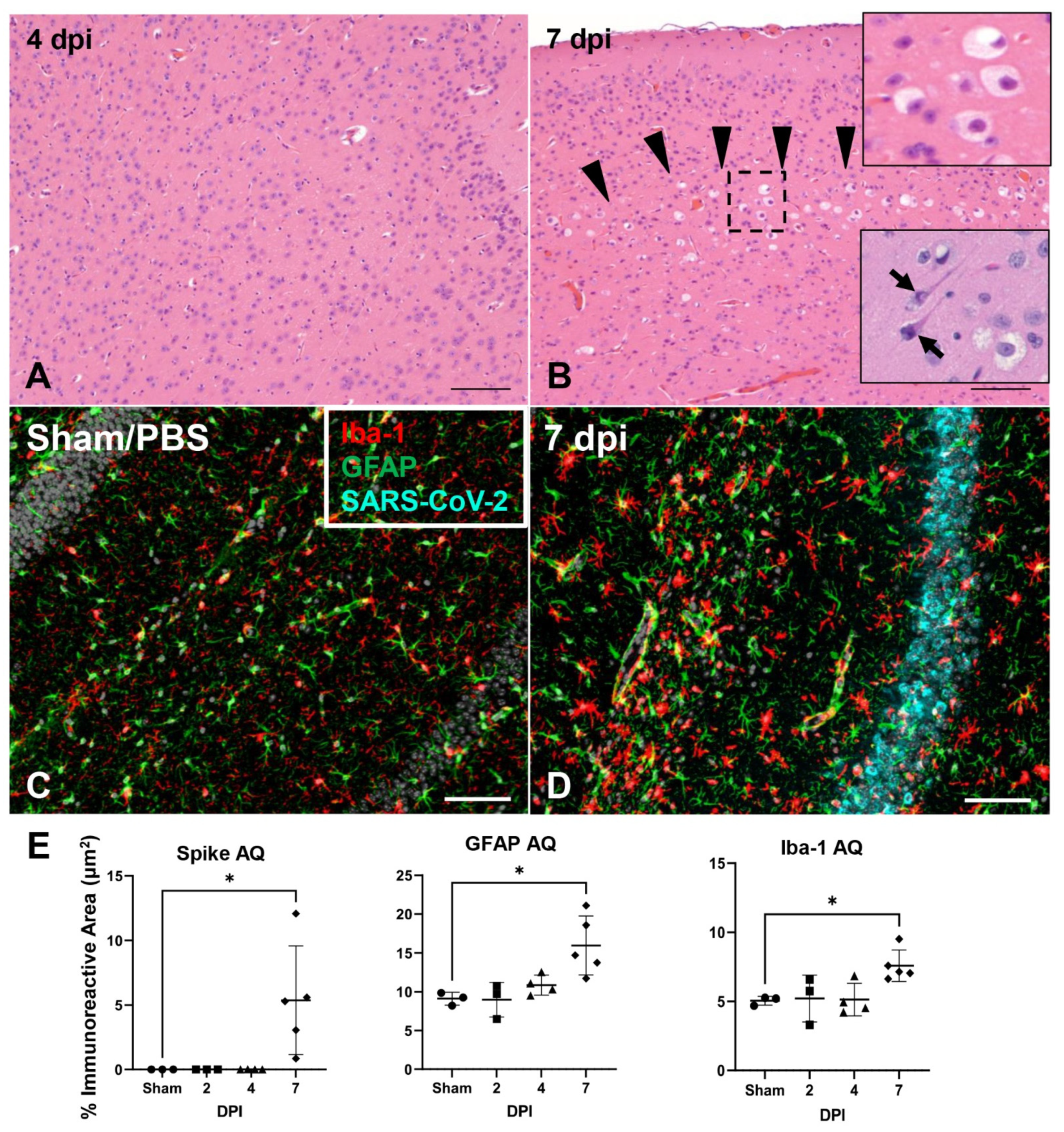 Viruses 14 00535 g007