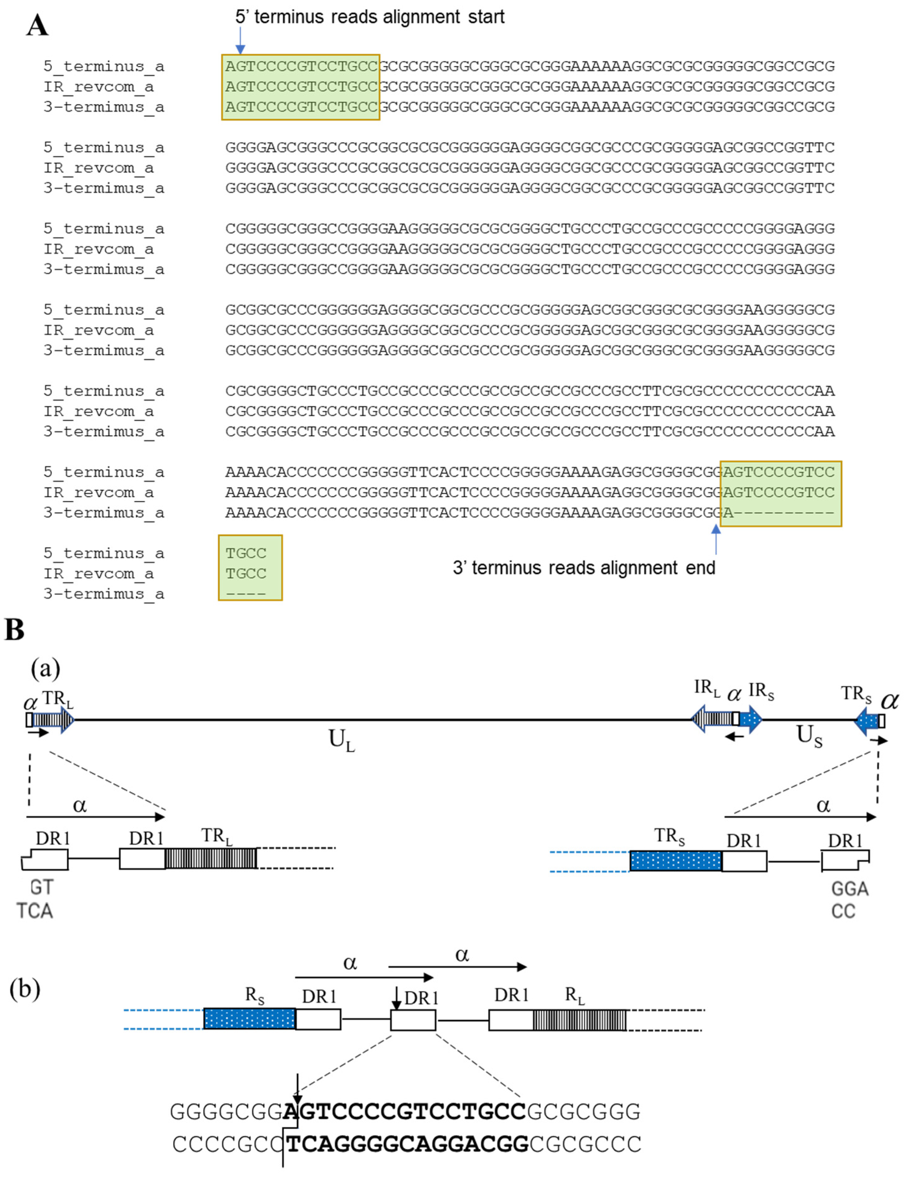 Viruses 14 00536 g004 Viruses 14 00536 g004