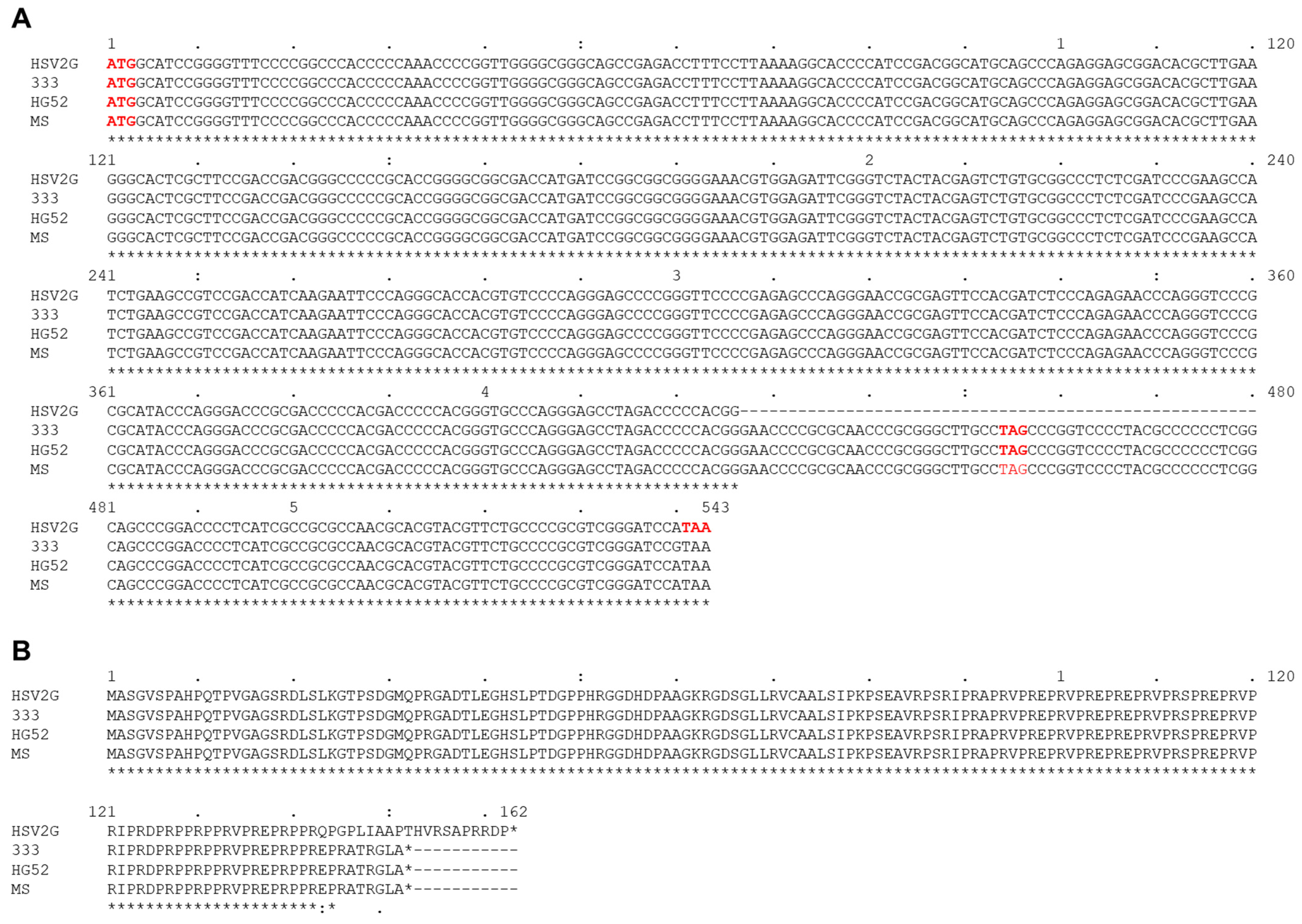 Viruses 14 00536 g005 Viruses 14 00536 g005