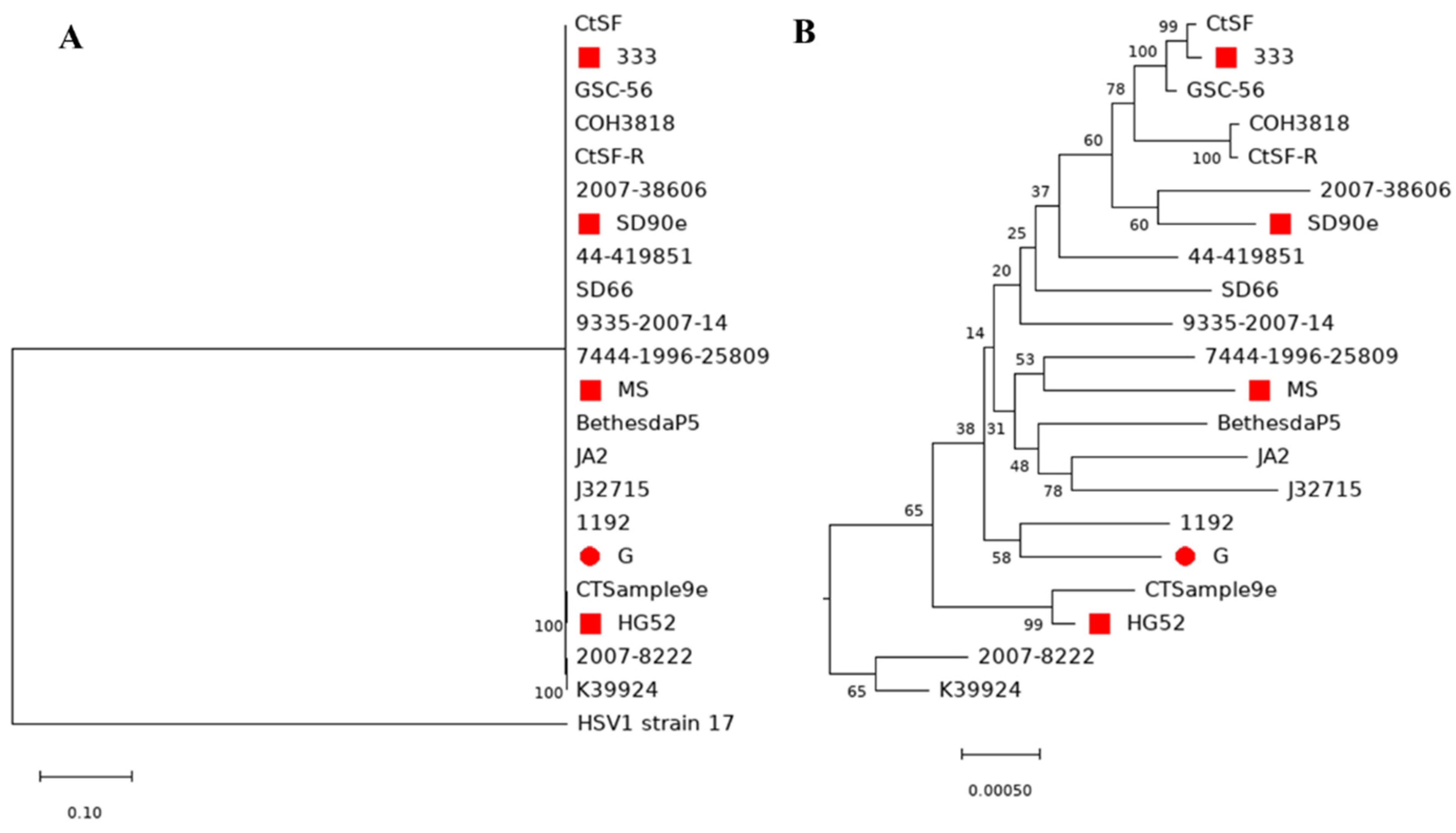 Viruses 14 00536 g006 Viruses 14 00536 g006