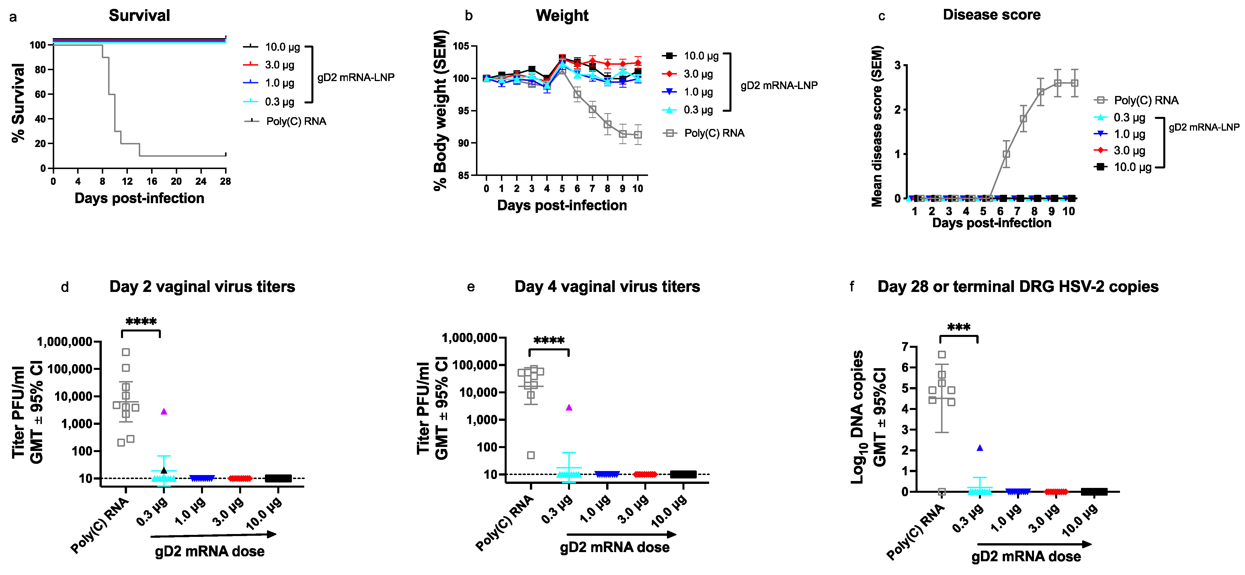 Viruses Free FullText Antibodies to Crucial Epitopes on HSV2