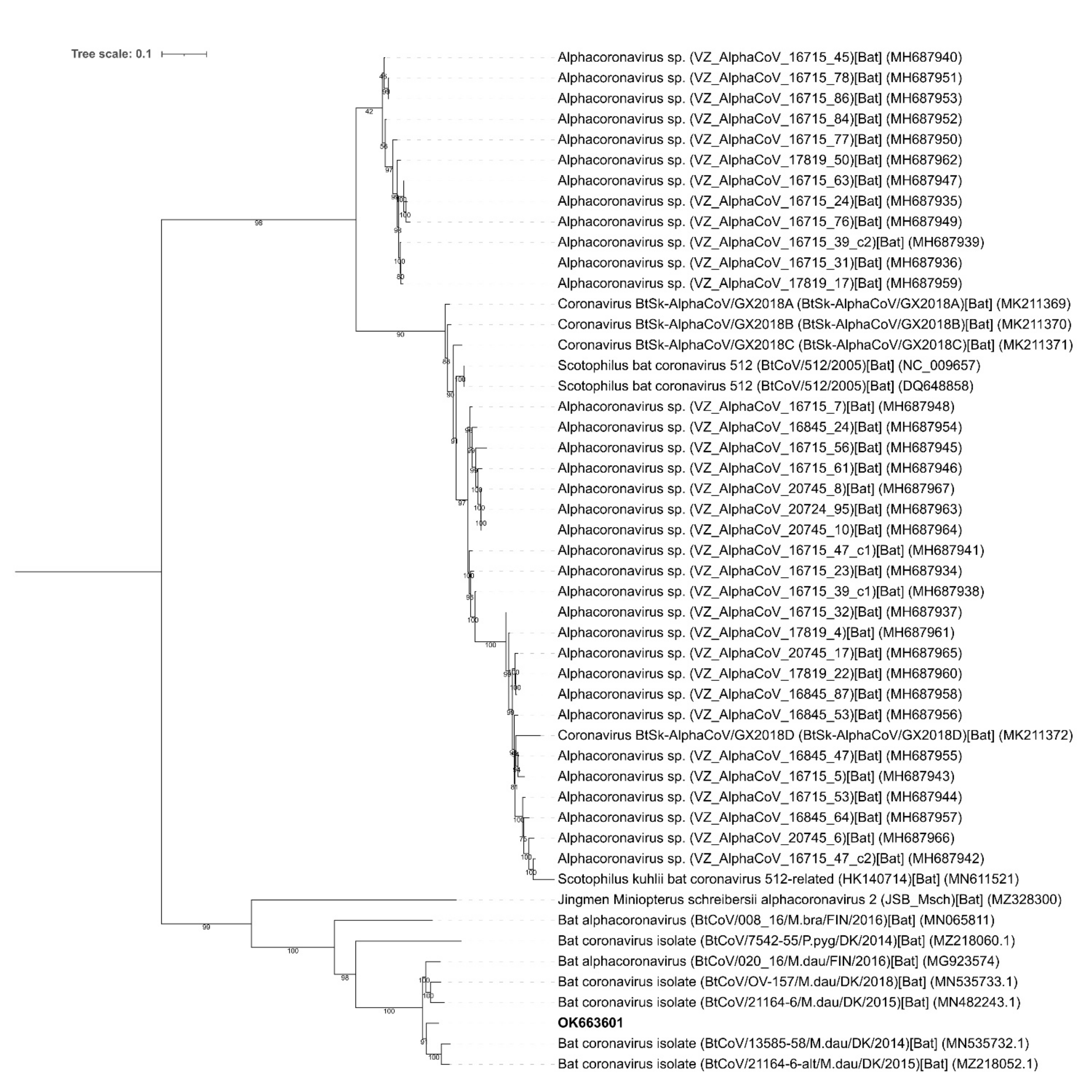Viruses 14 00556 g003