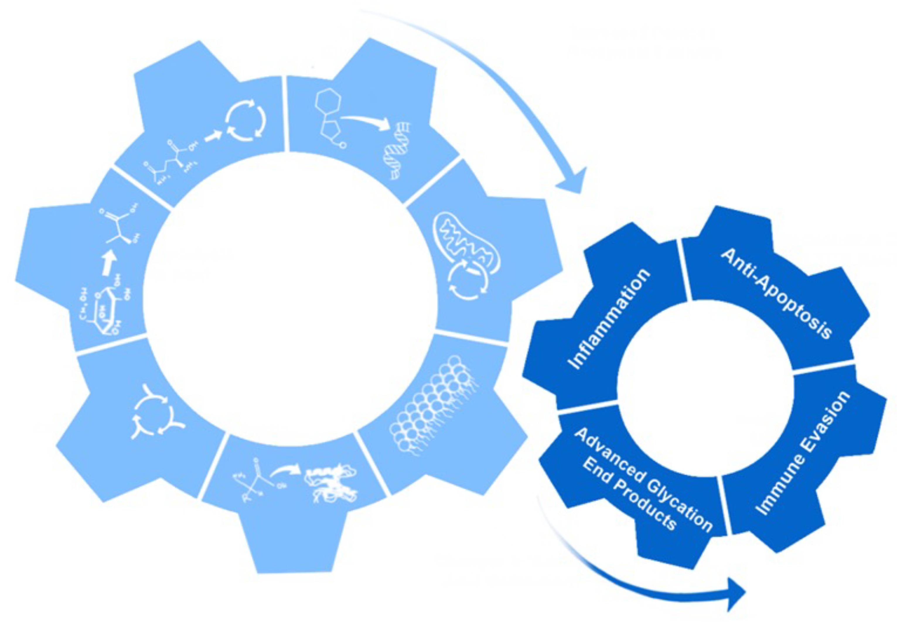 Viruses 14 00602 g004