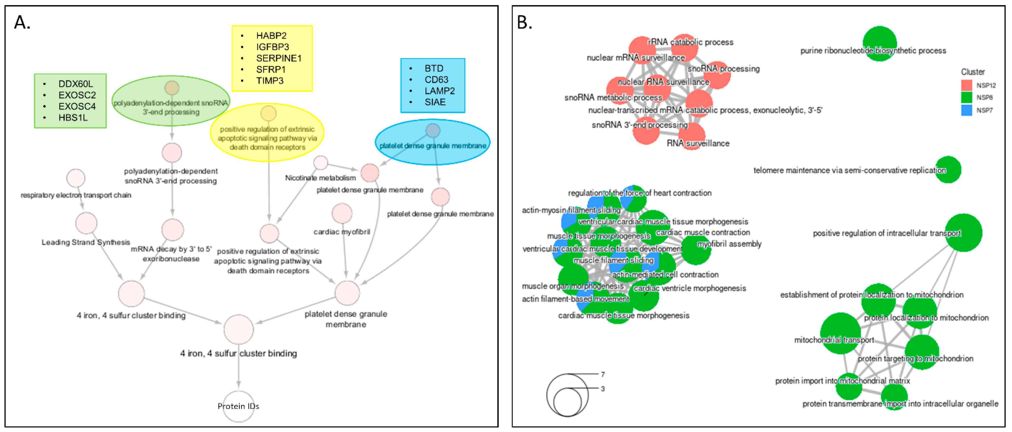 Viruses 14 00611 g006