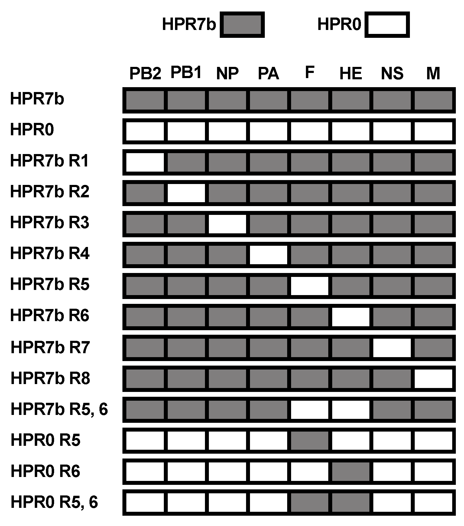Viruses 14 00631 g001