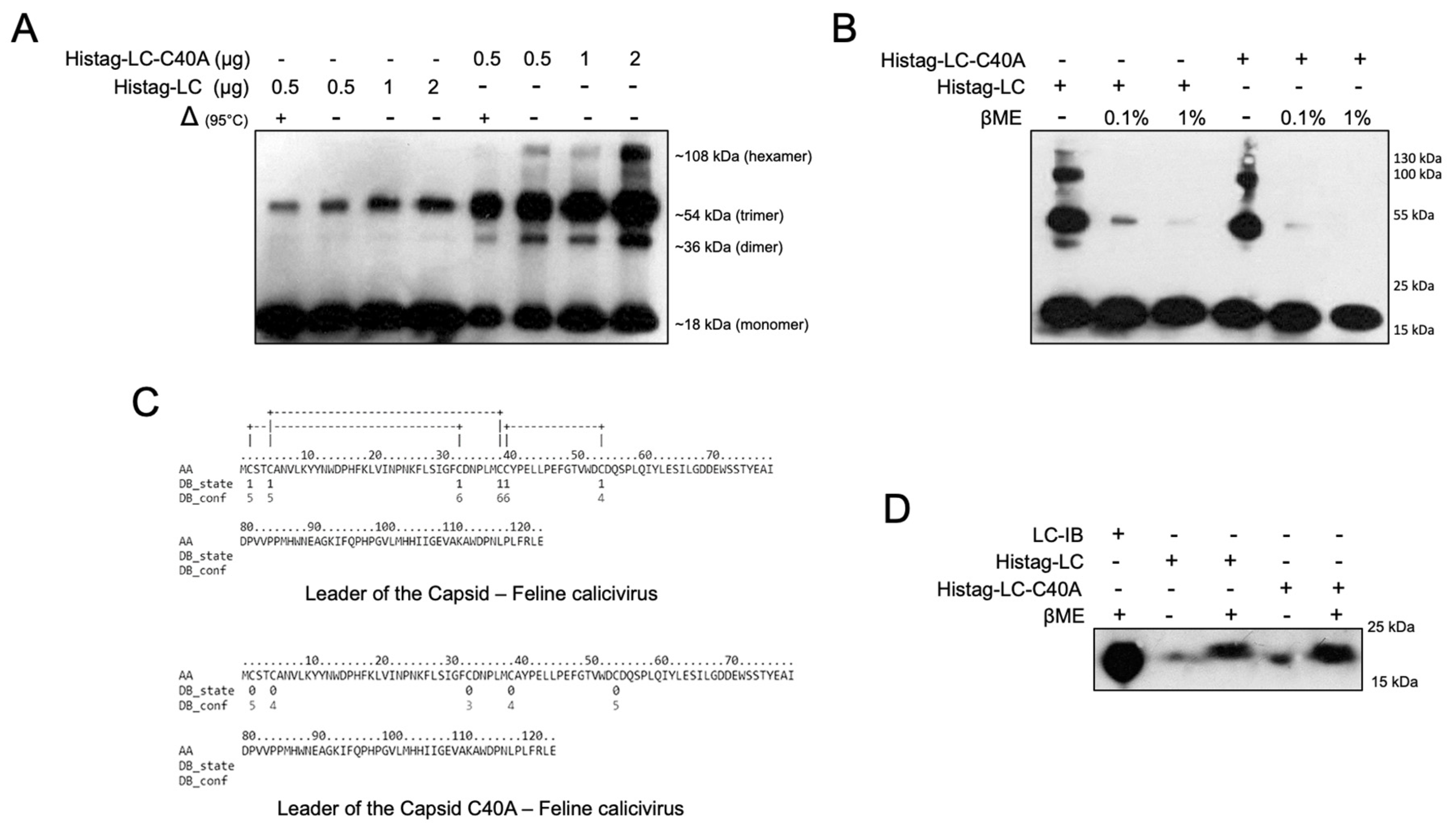 Viruses 14 00635 g003 Viruses 14 00635 g003