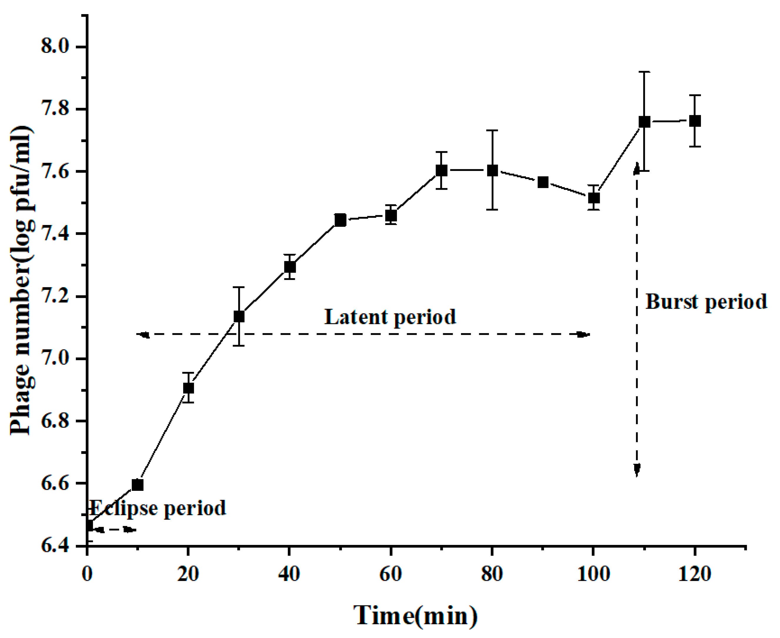 Viruses 14 00676 g002