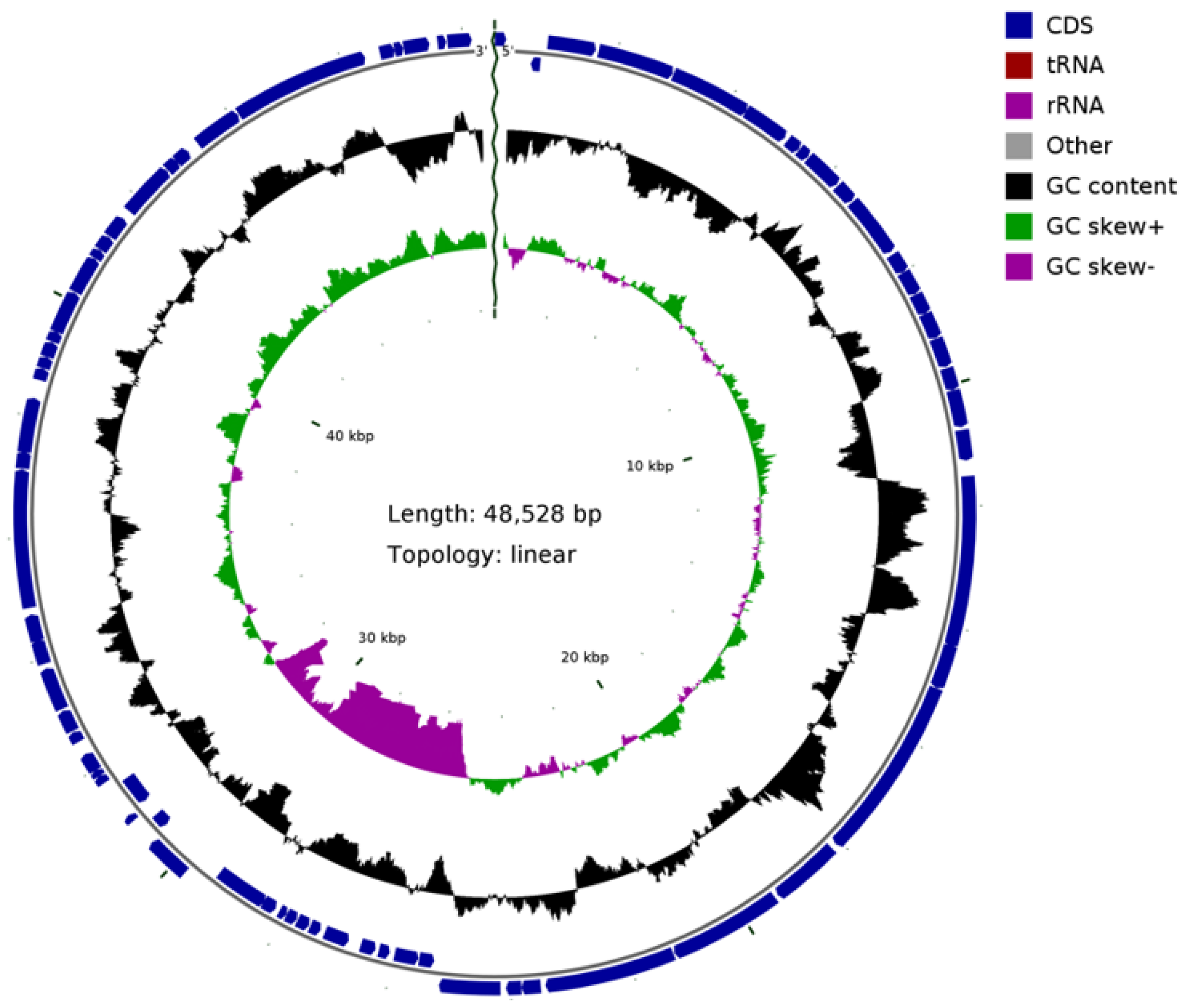Viruses 14 00676 g005
