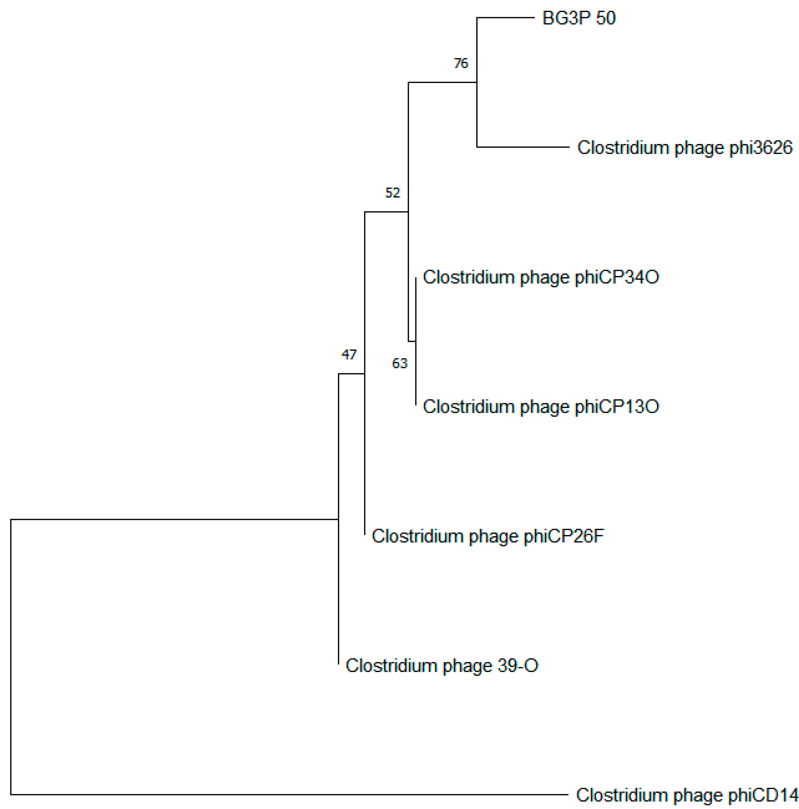 Viruses 14 00676 g006