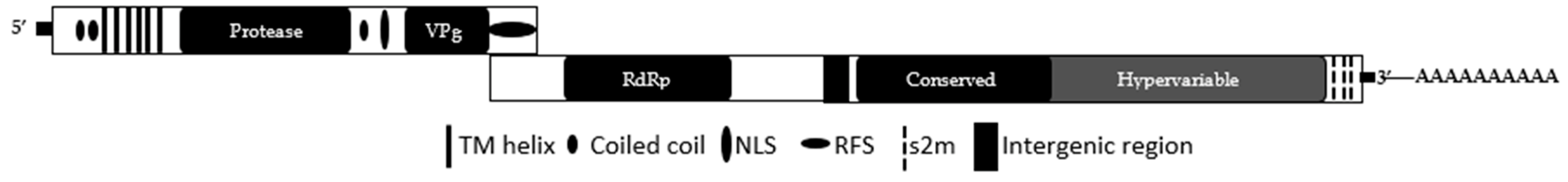 Viruses 14 00722 g001
