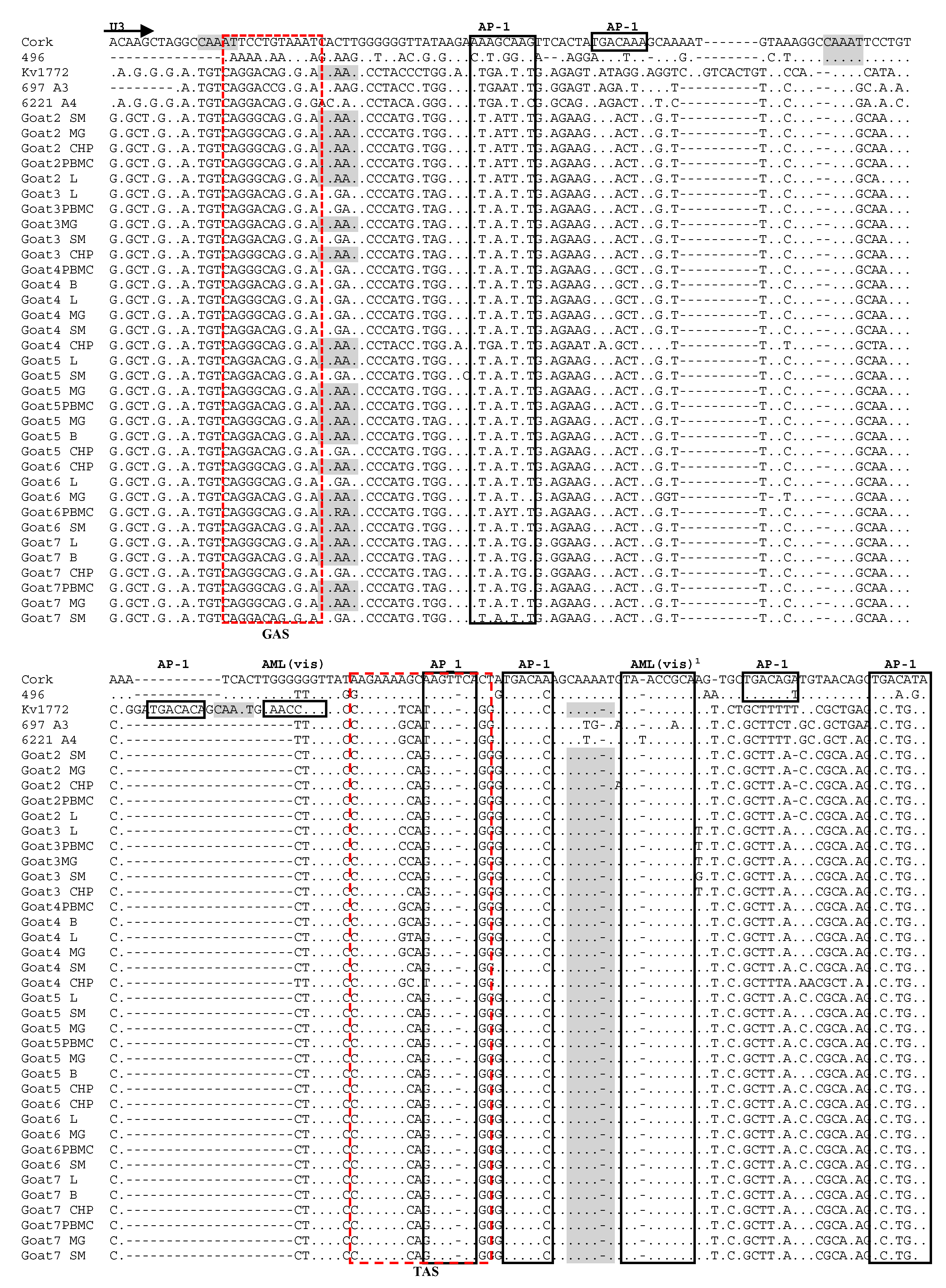 Viruses 14 00735 g007a Viruses 14 00735 g007a