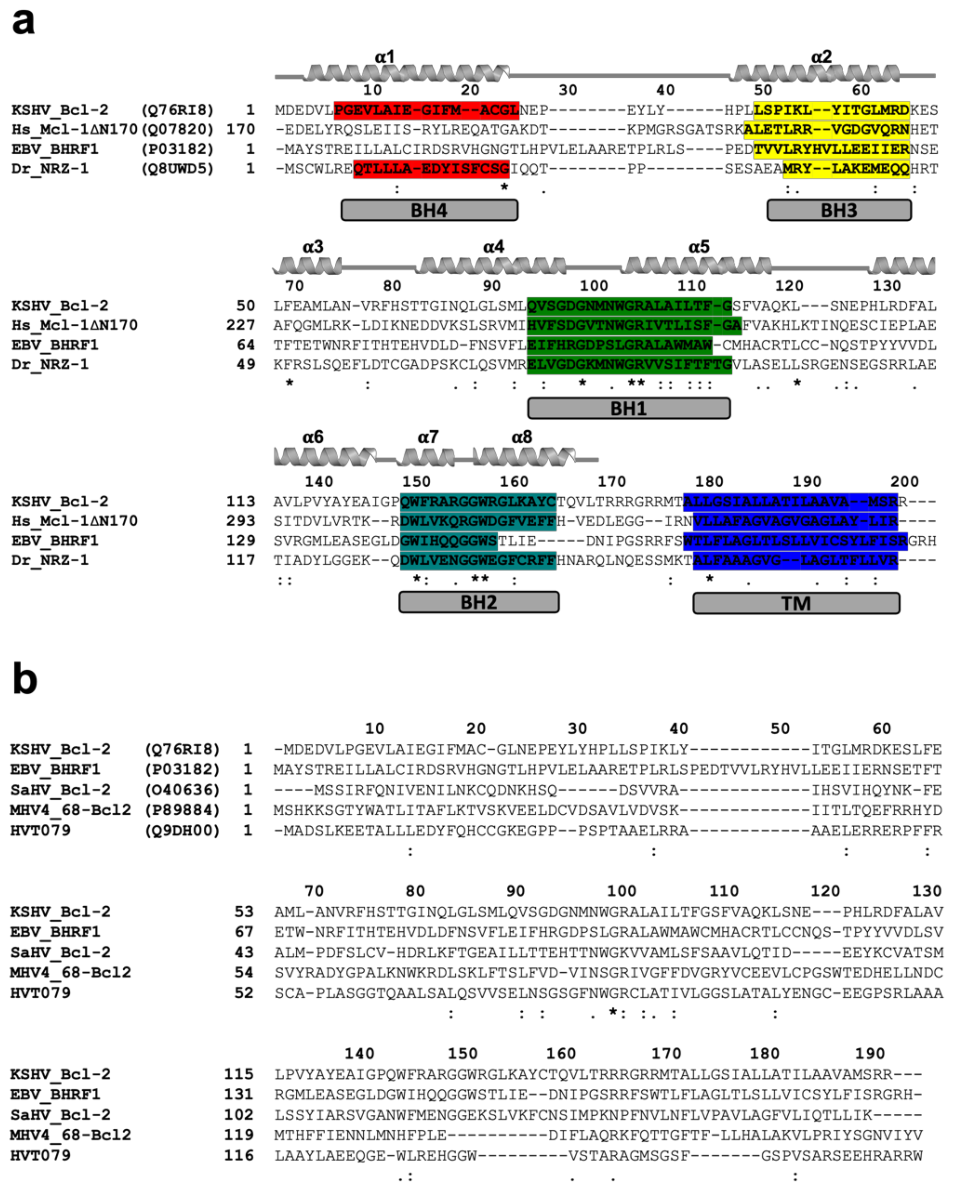 Viruses 14 00738 g003